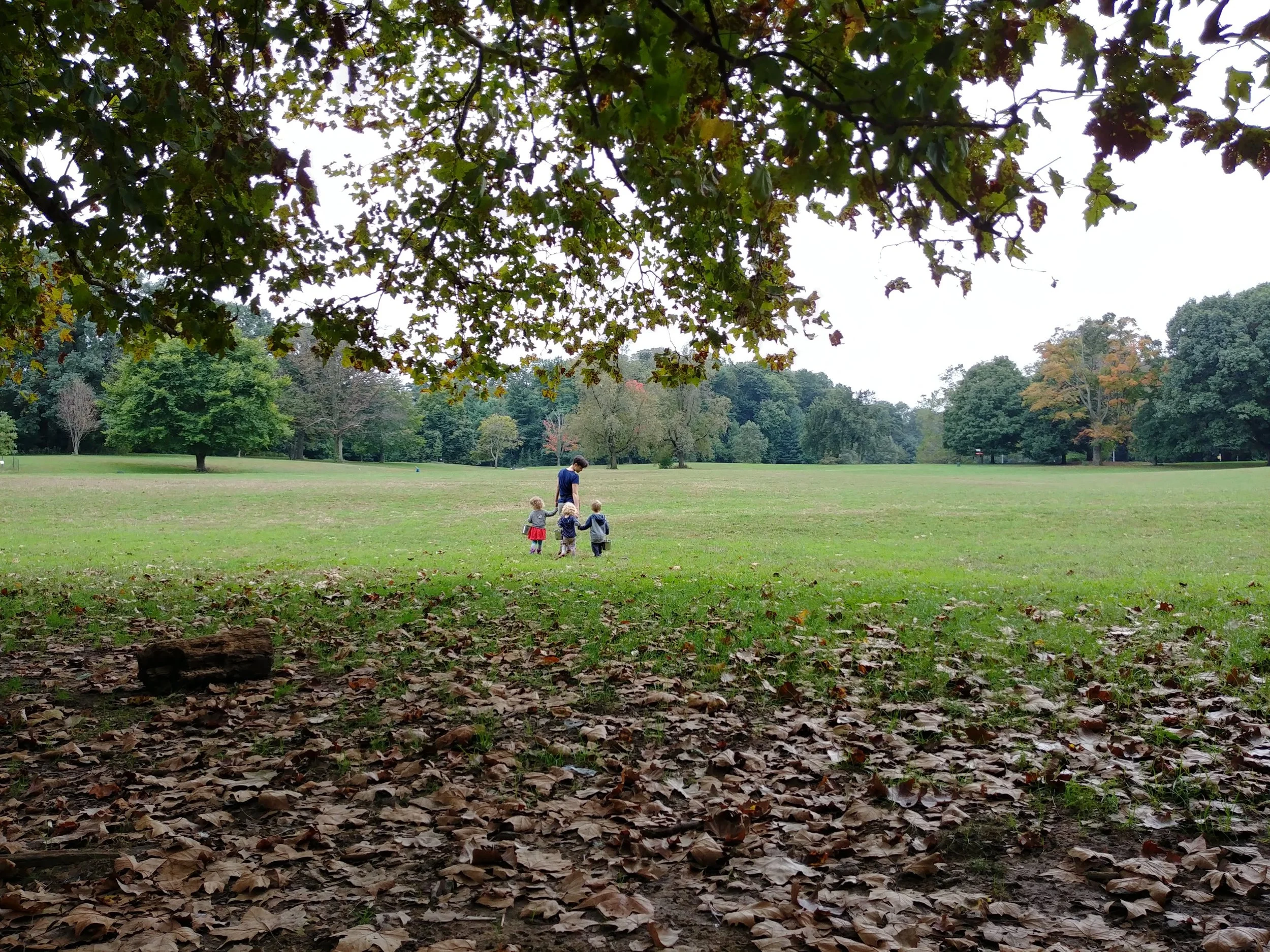 20181009_103239_HDR.jpg
