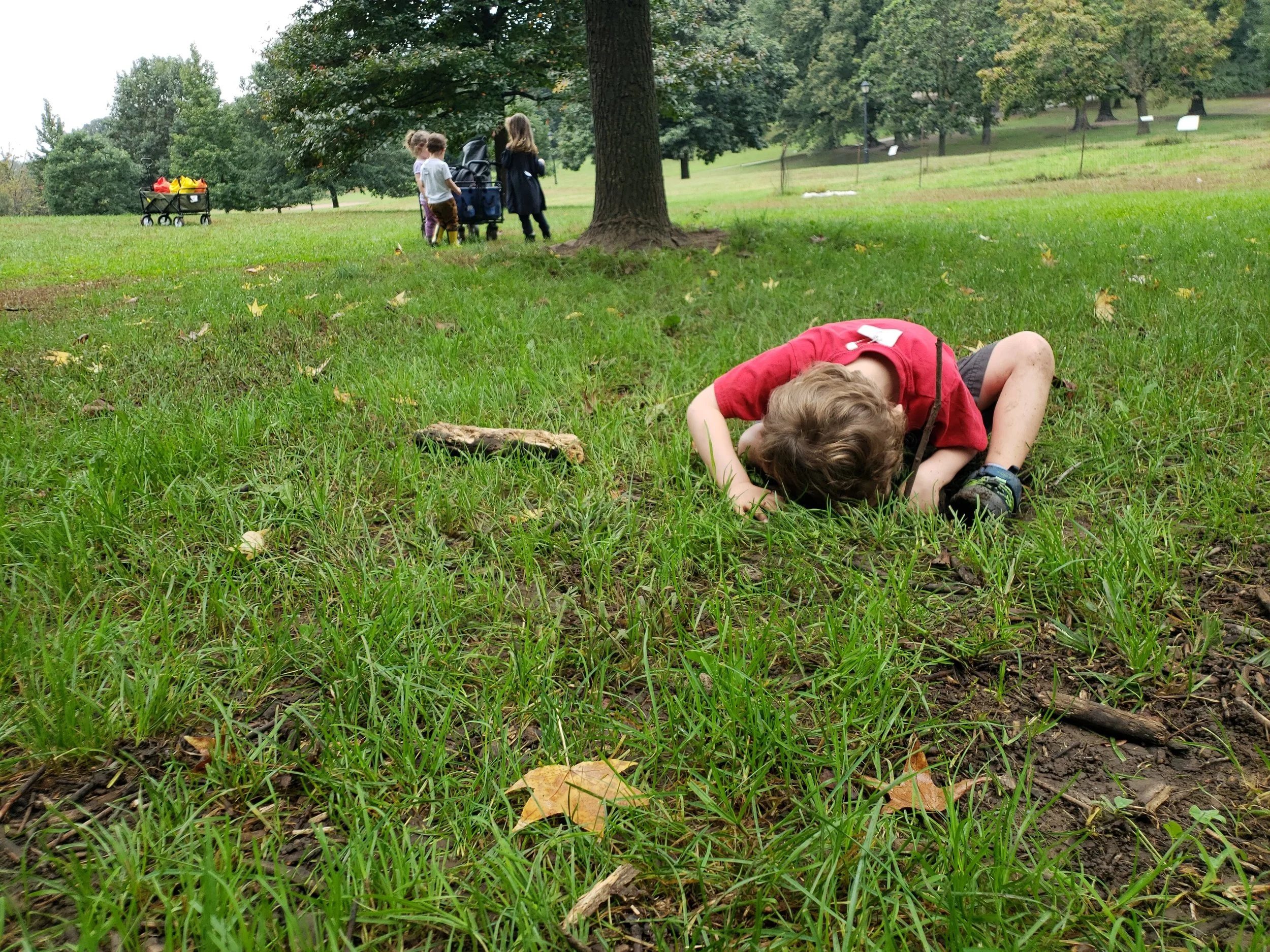 20181009_095405.jpg