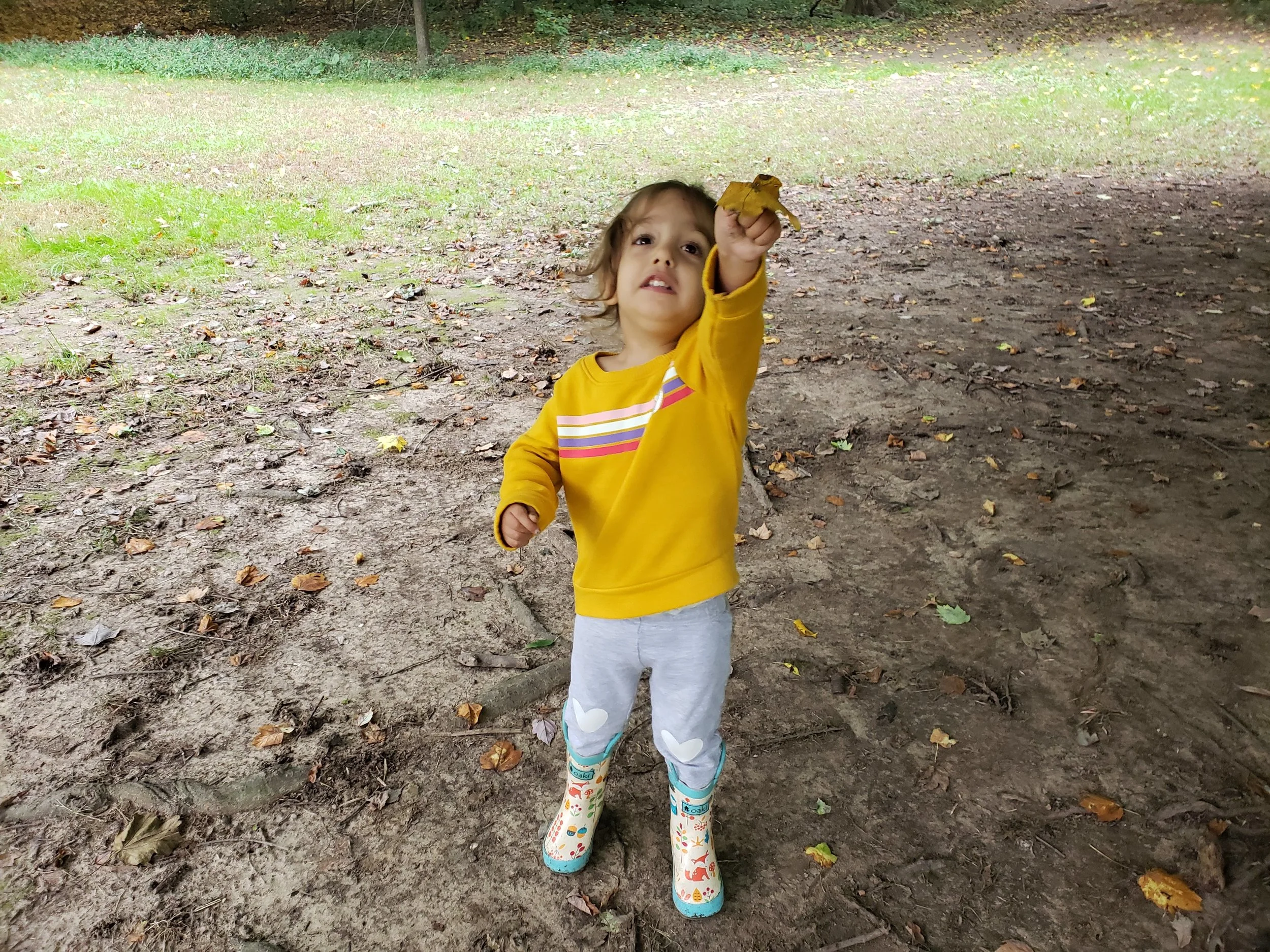20181009_095028.jpg