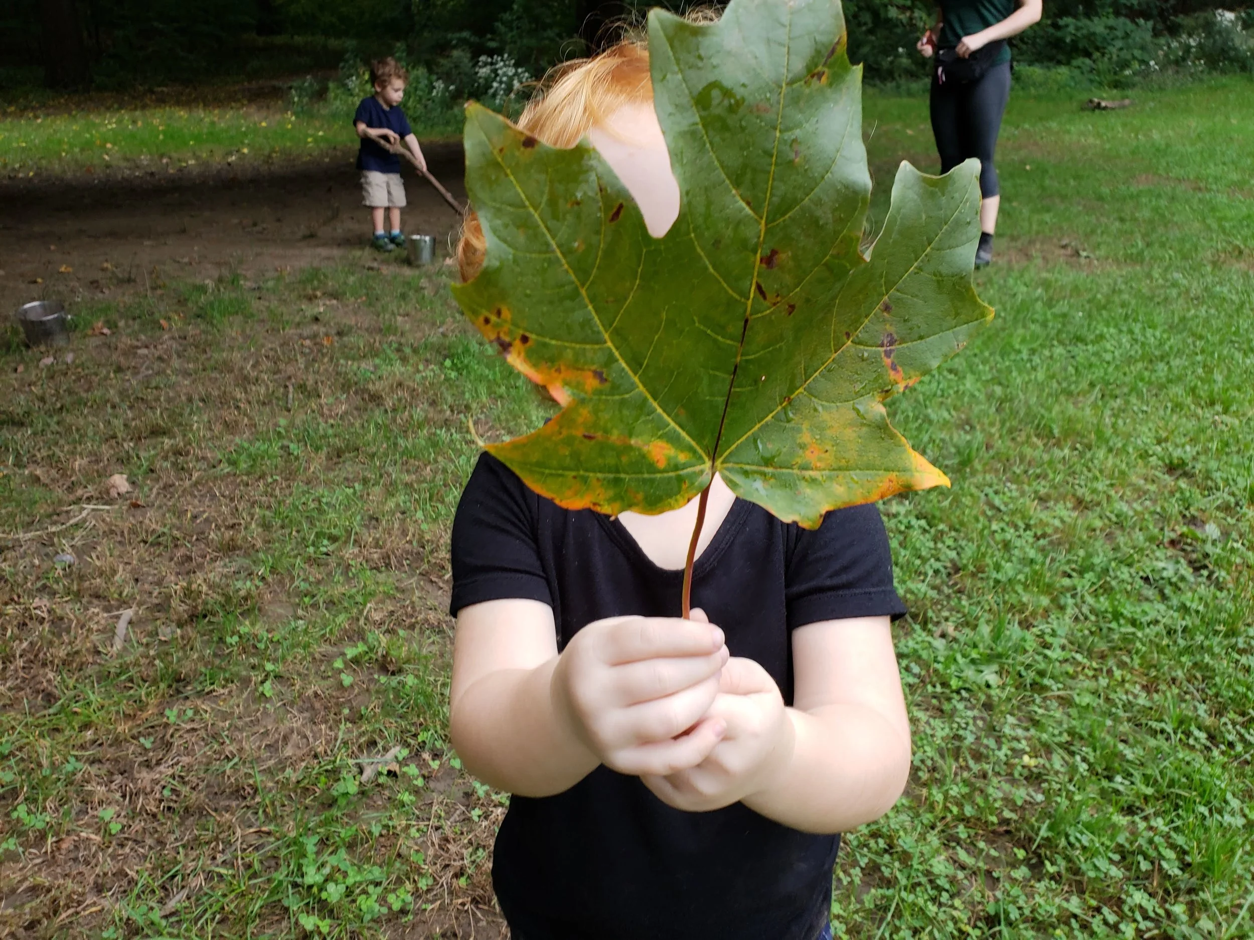 20181011_094734.jpg