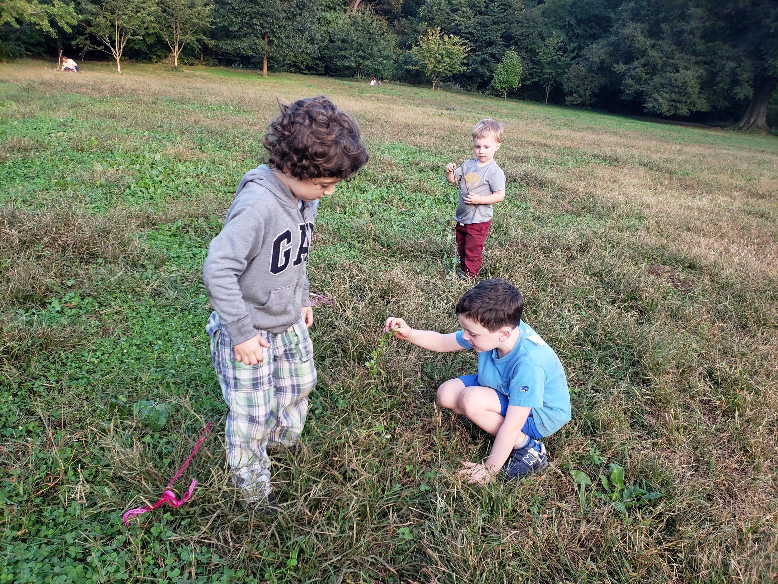 20181009_172922.jpg