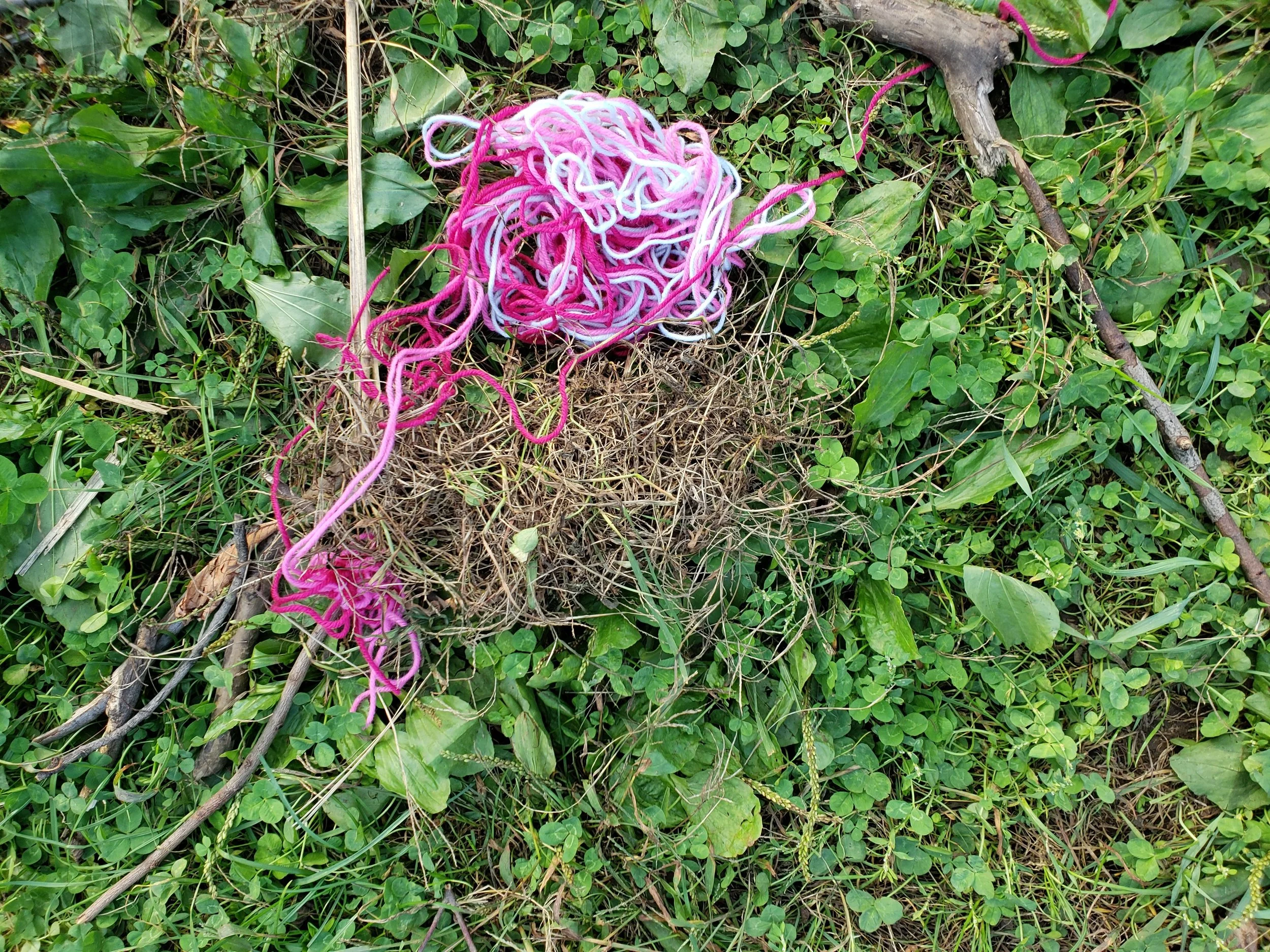20181009_164021.jpg
