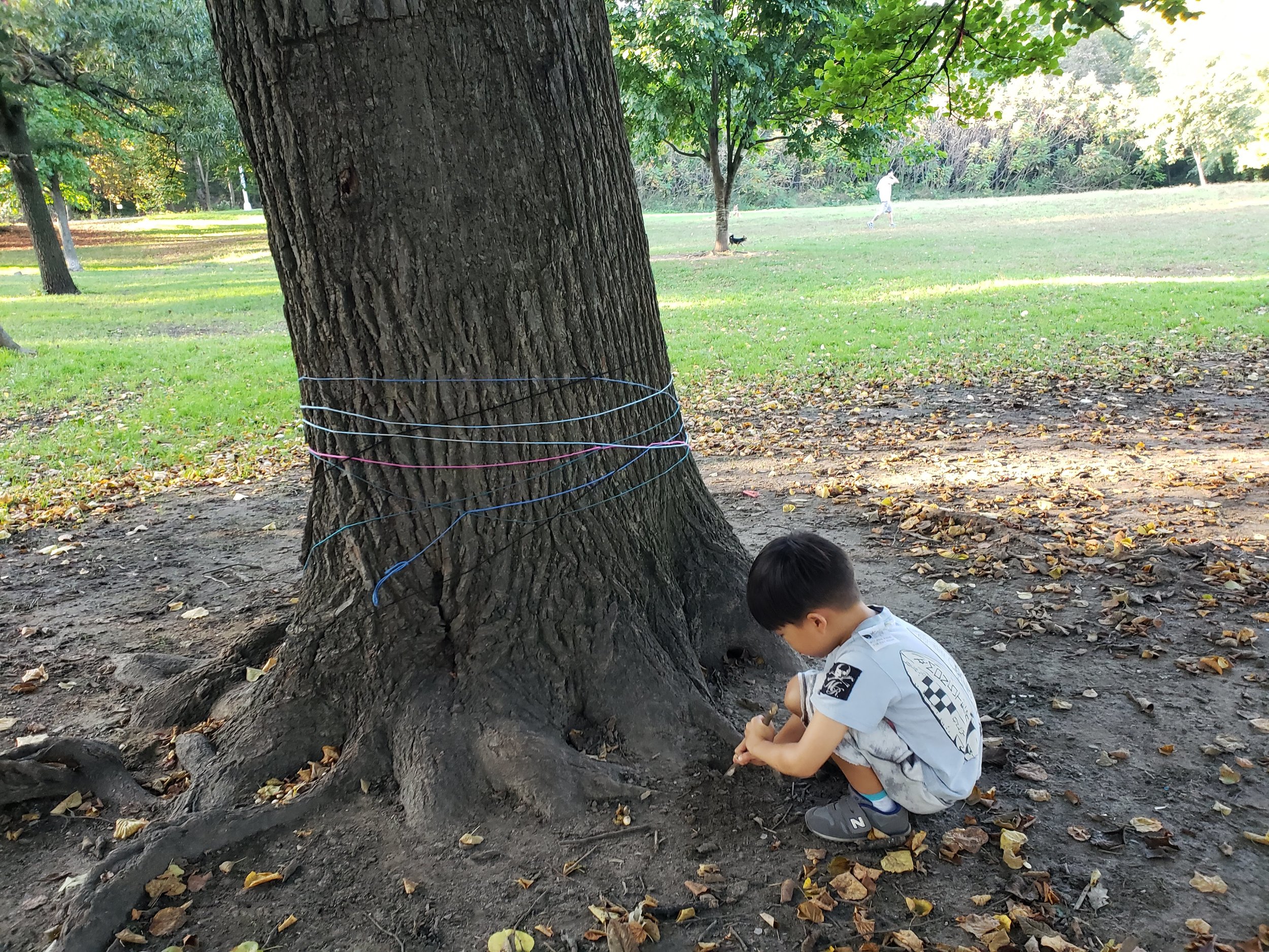 20181010_170949.jpg
