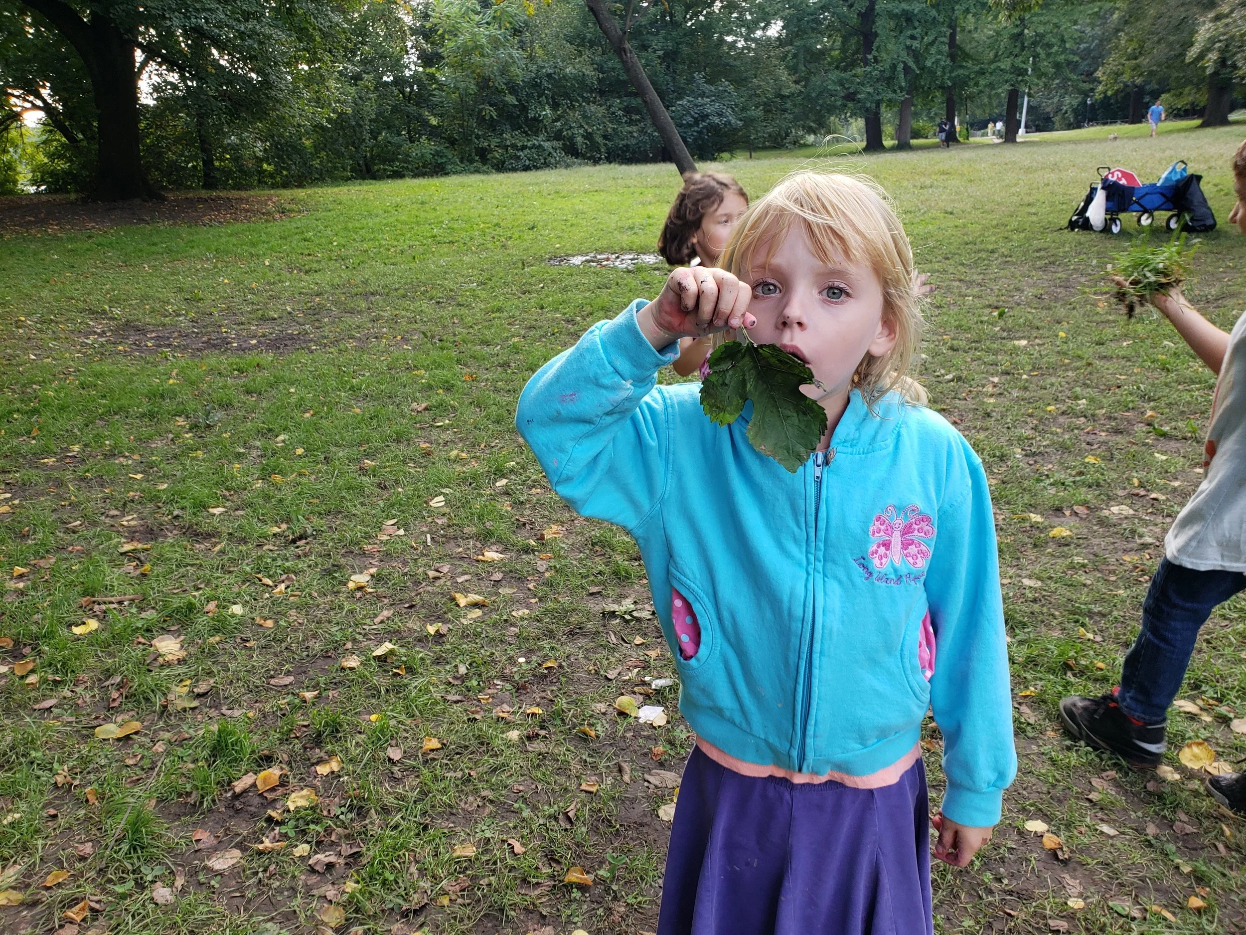 20181001_162814.jpg