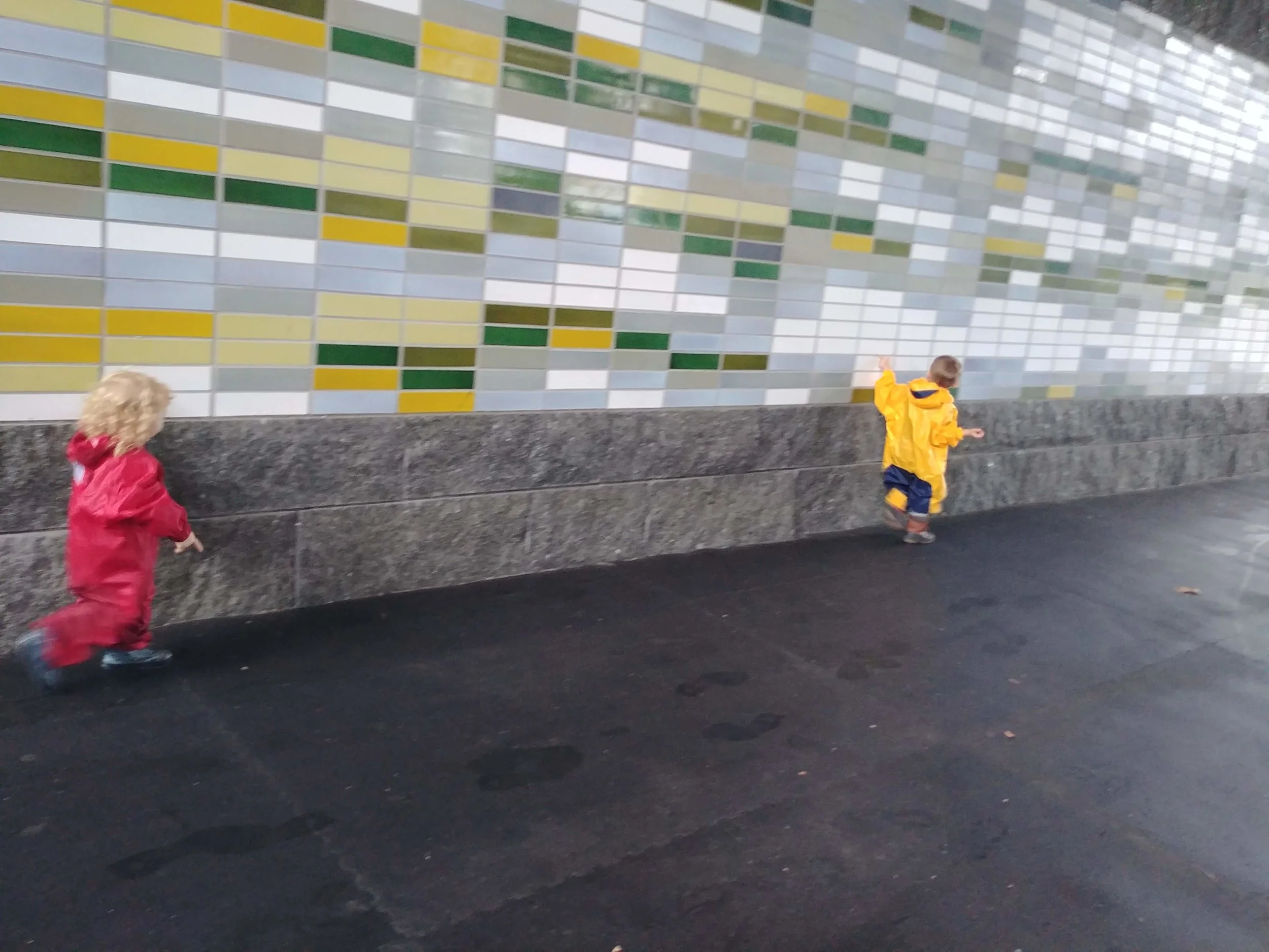 20181011_113049.jpg