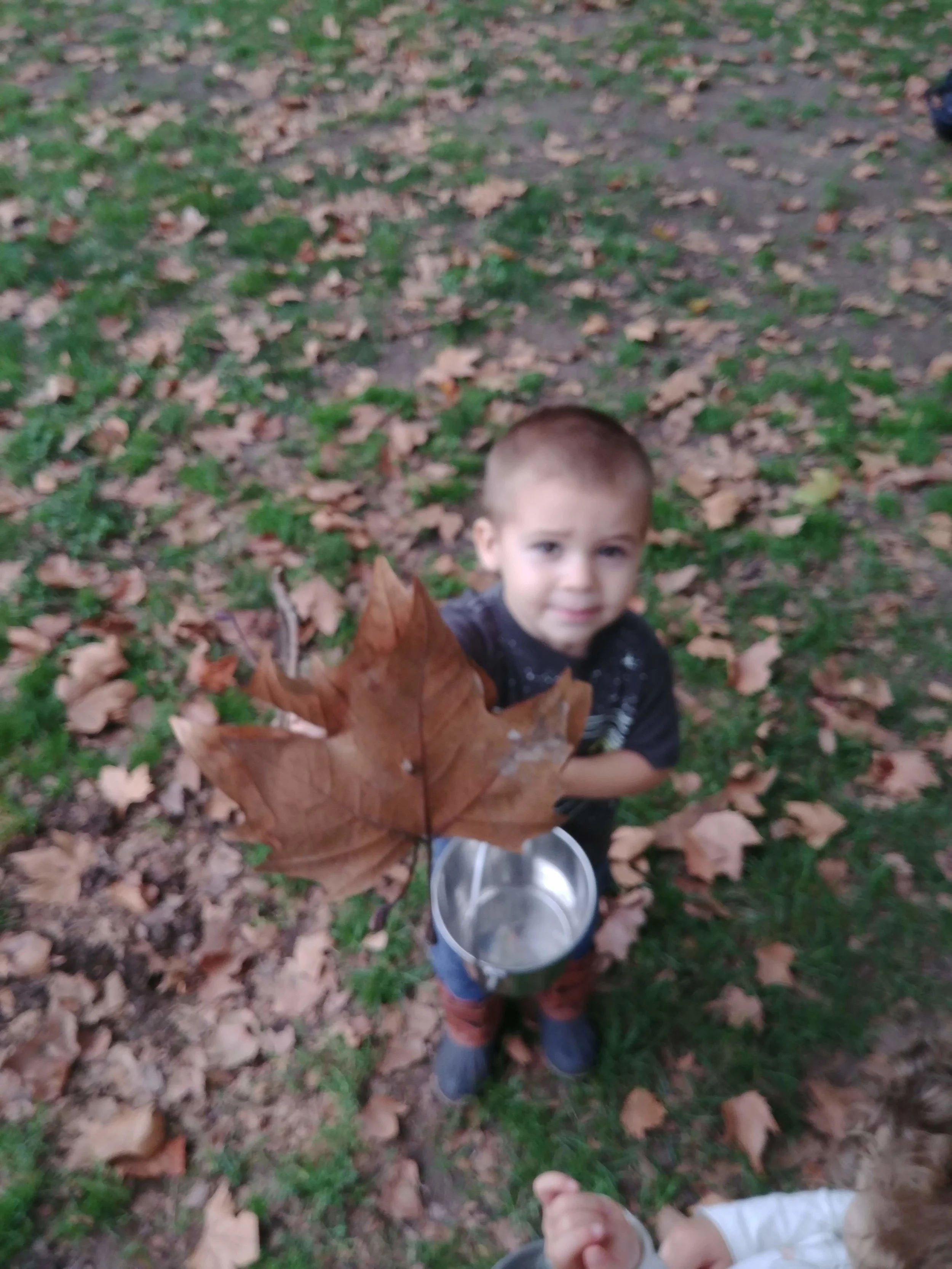 20181011_094305.jpg