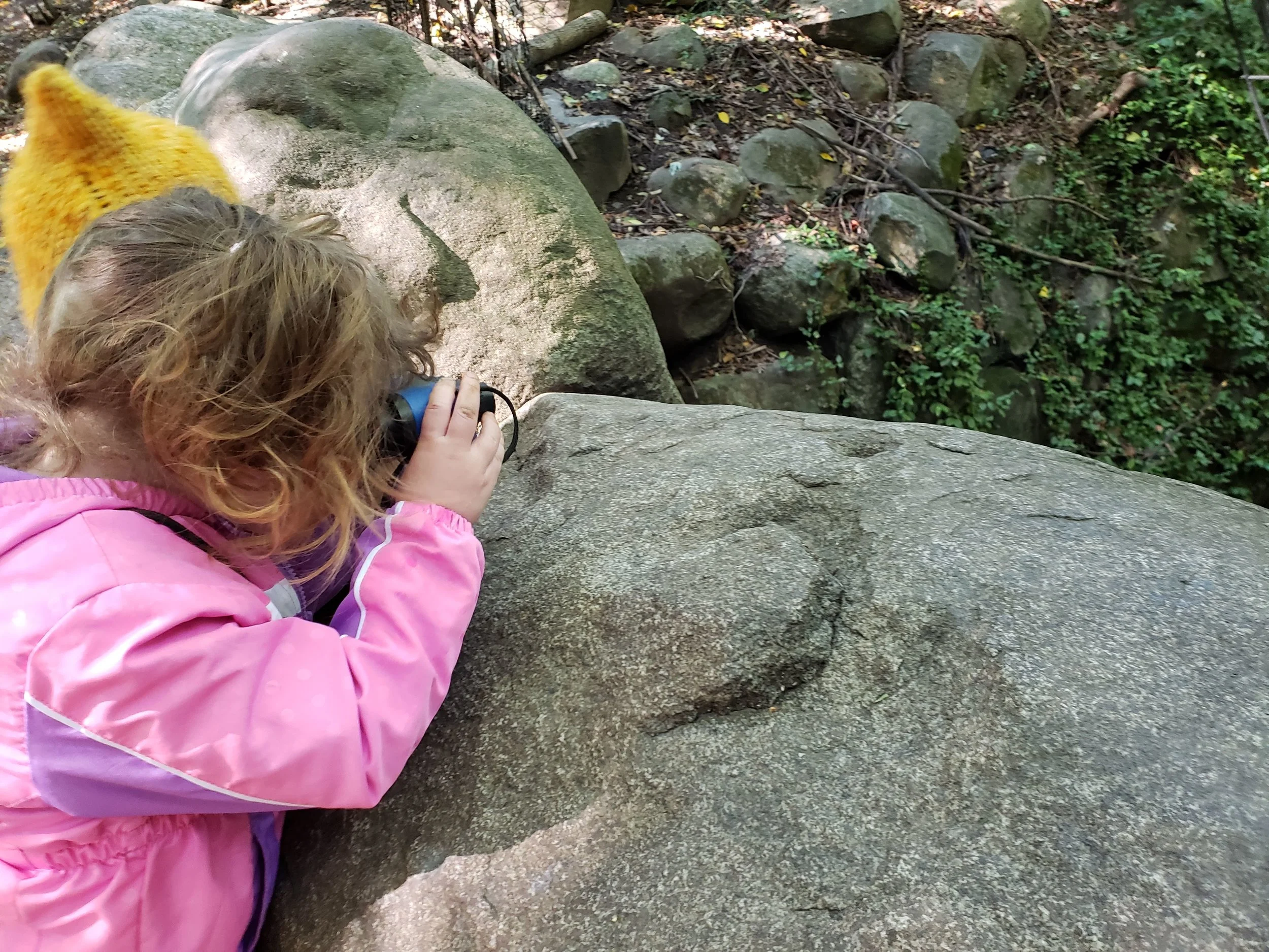20181017_105744.jpg