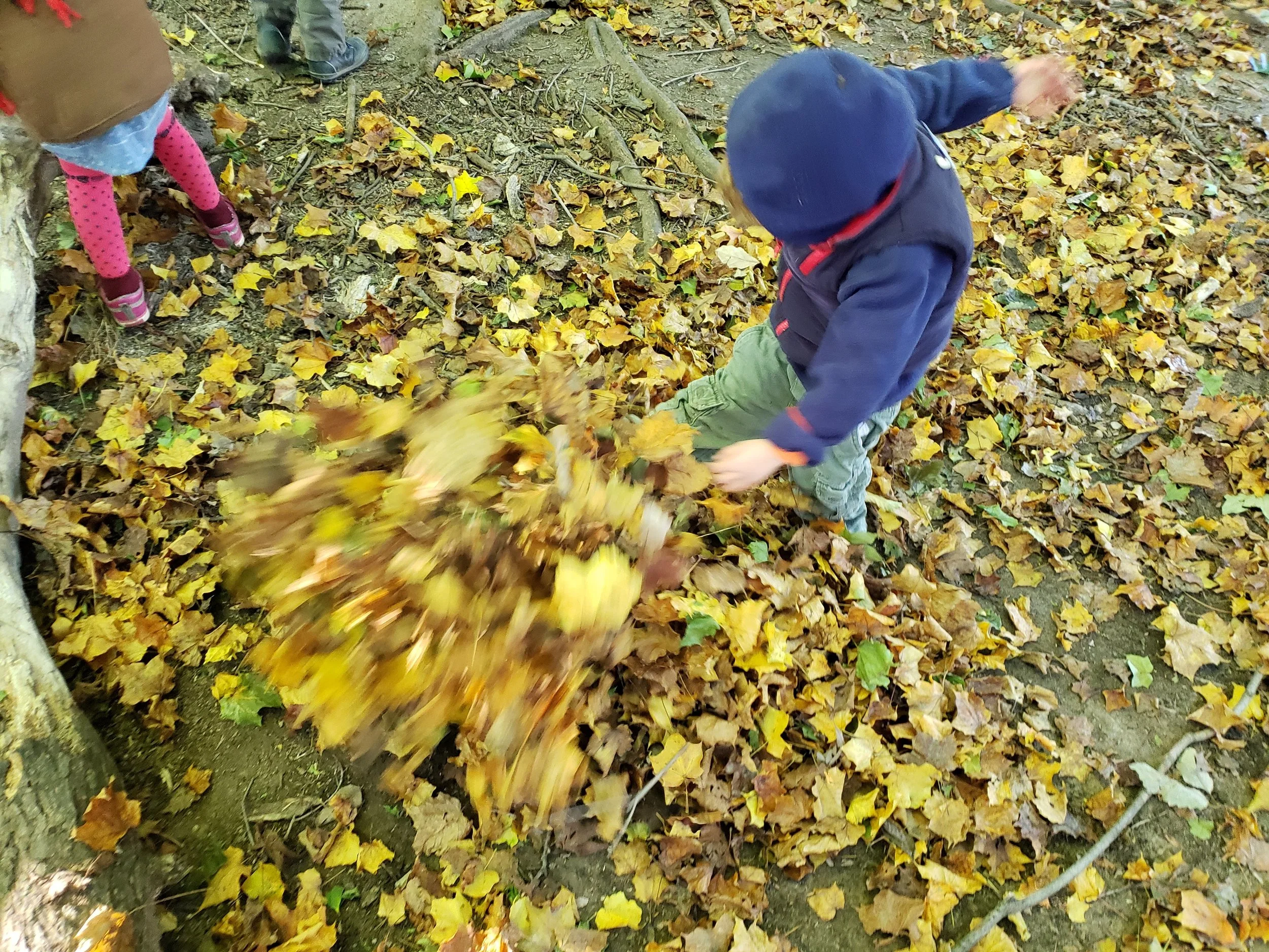 20181017_100132.jpg