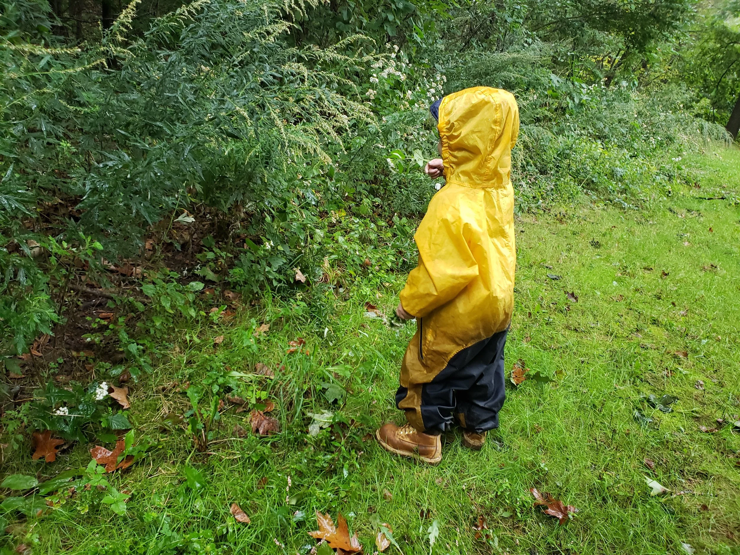 20181015_112243.jpg
