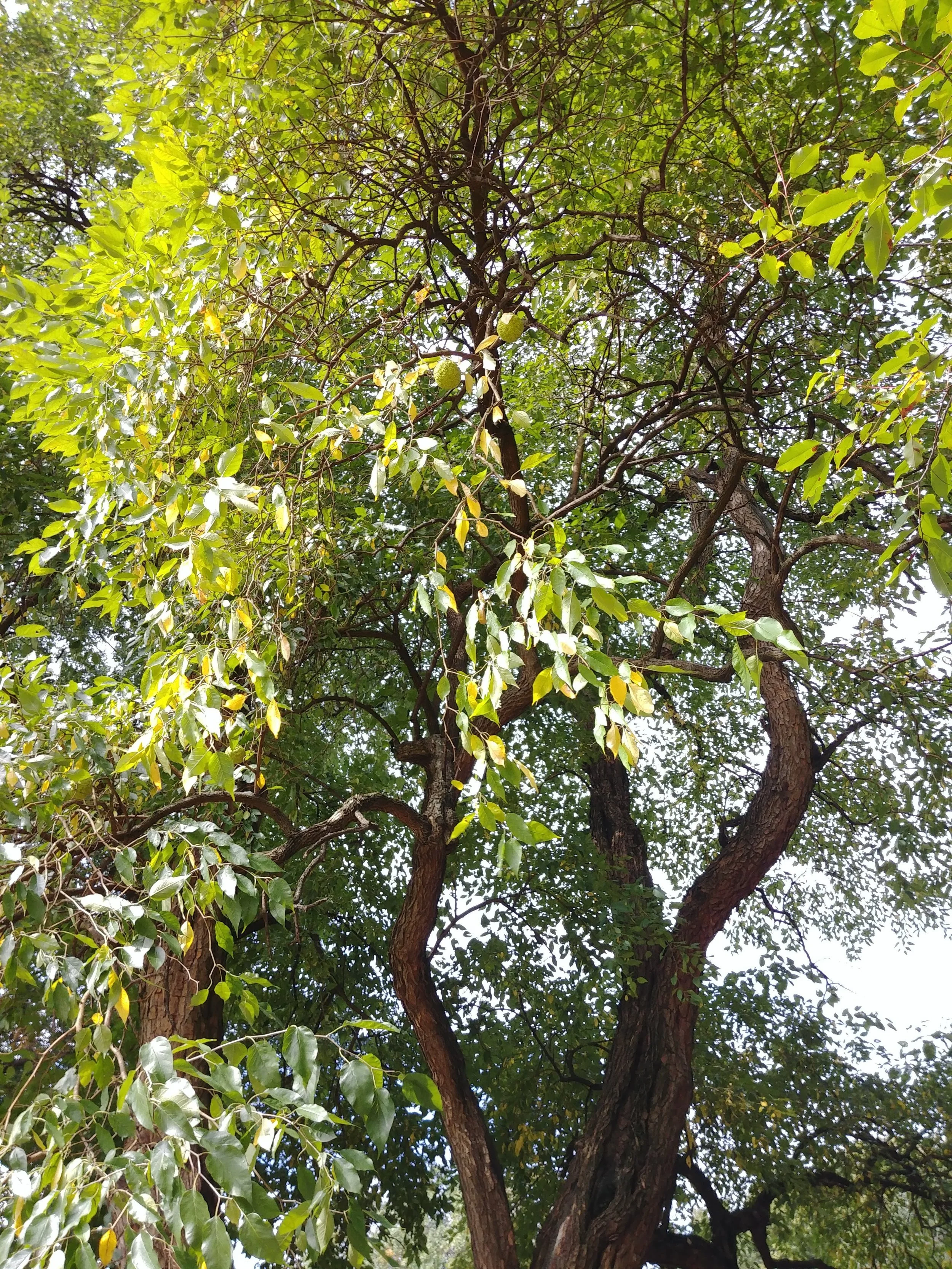 20181016_113908.jpg