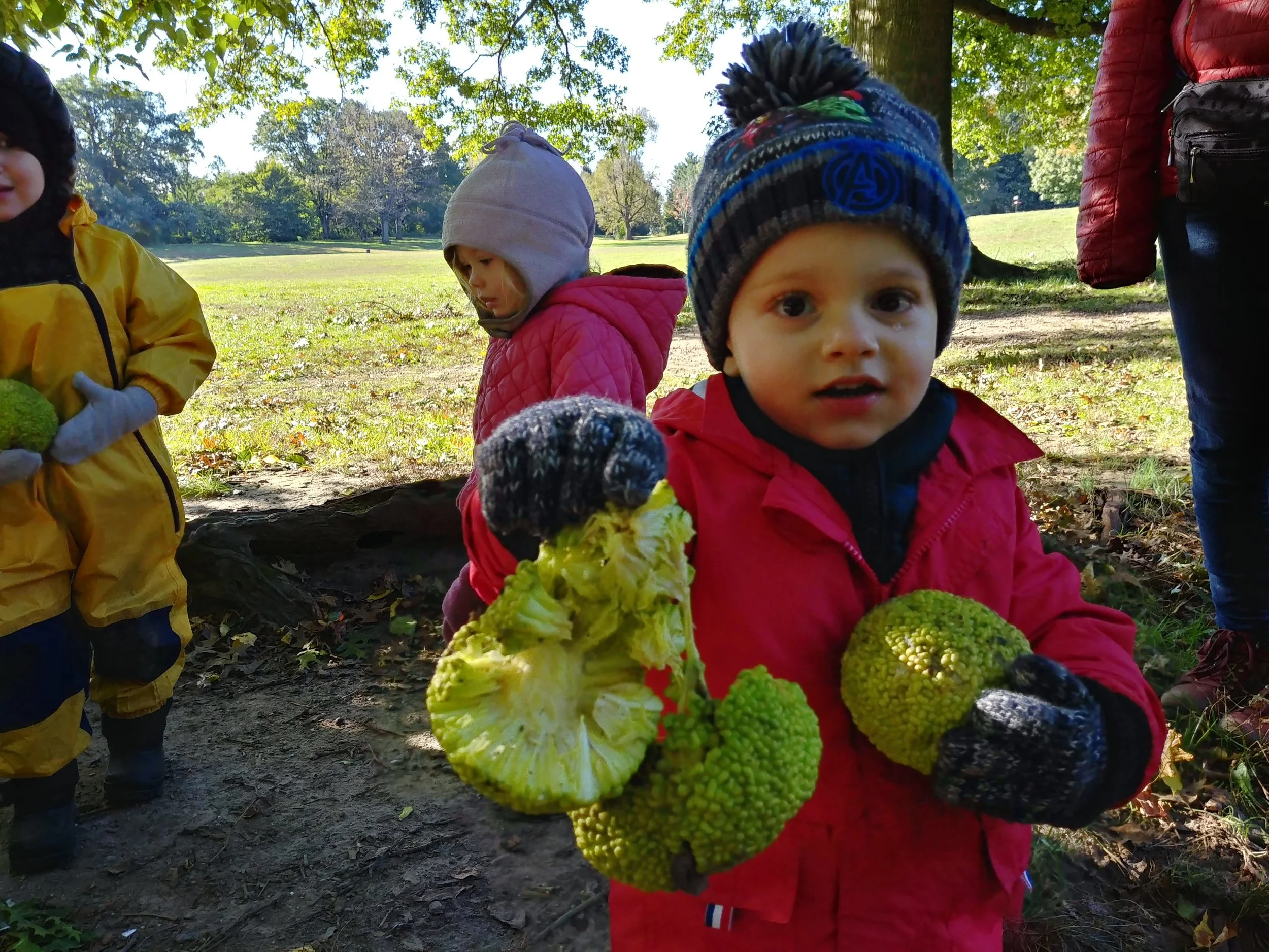 20181018_093835_HDR.jpg