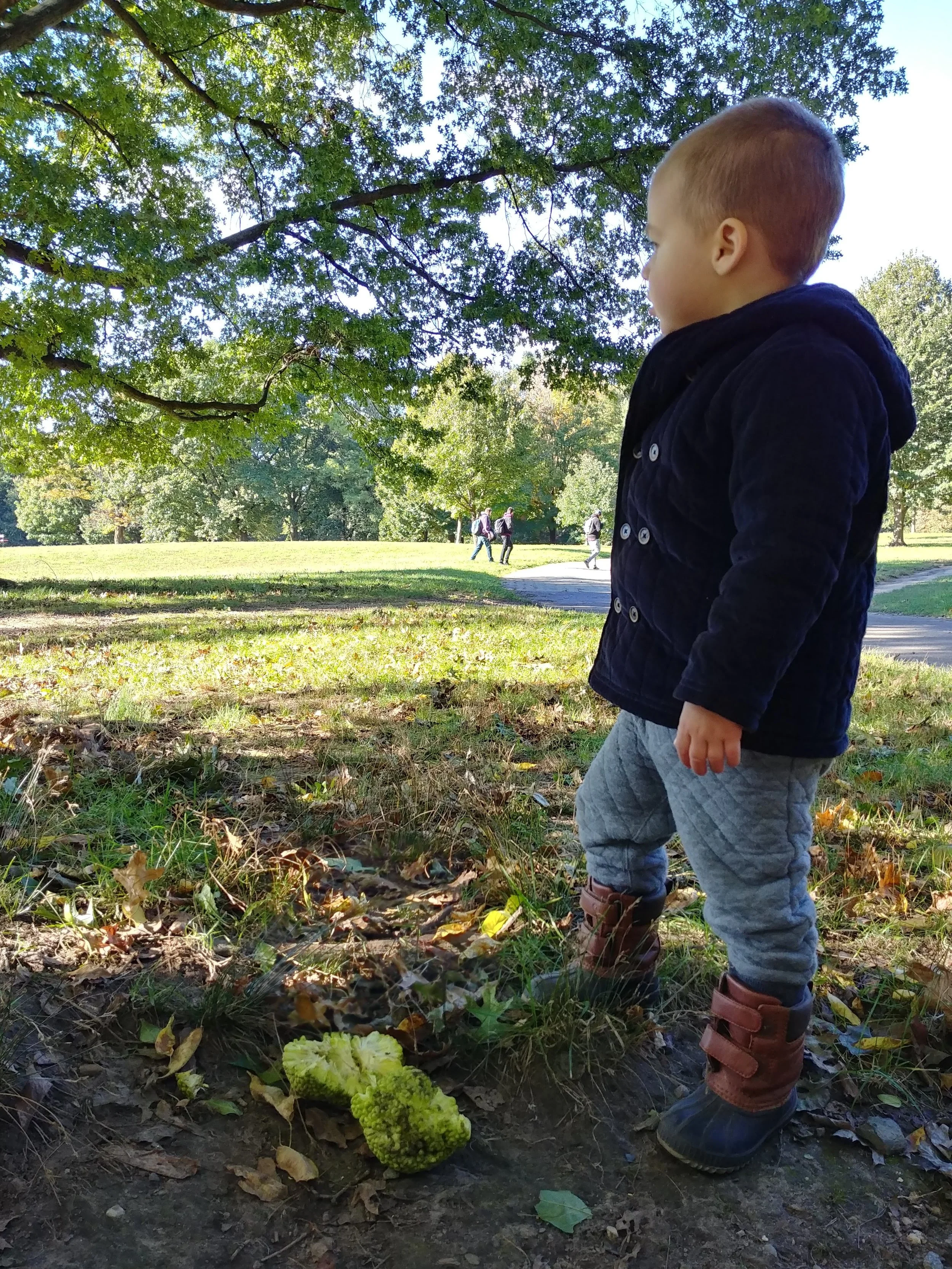 20181018_093813_HDR.jpg