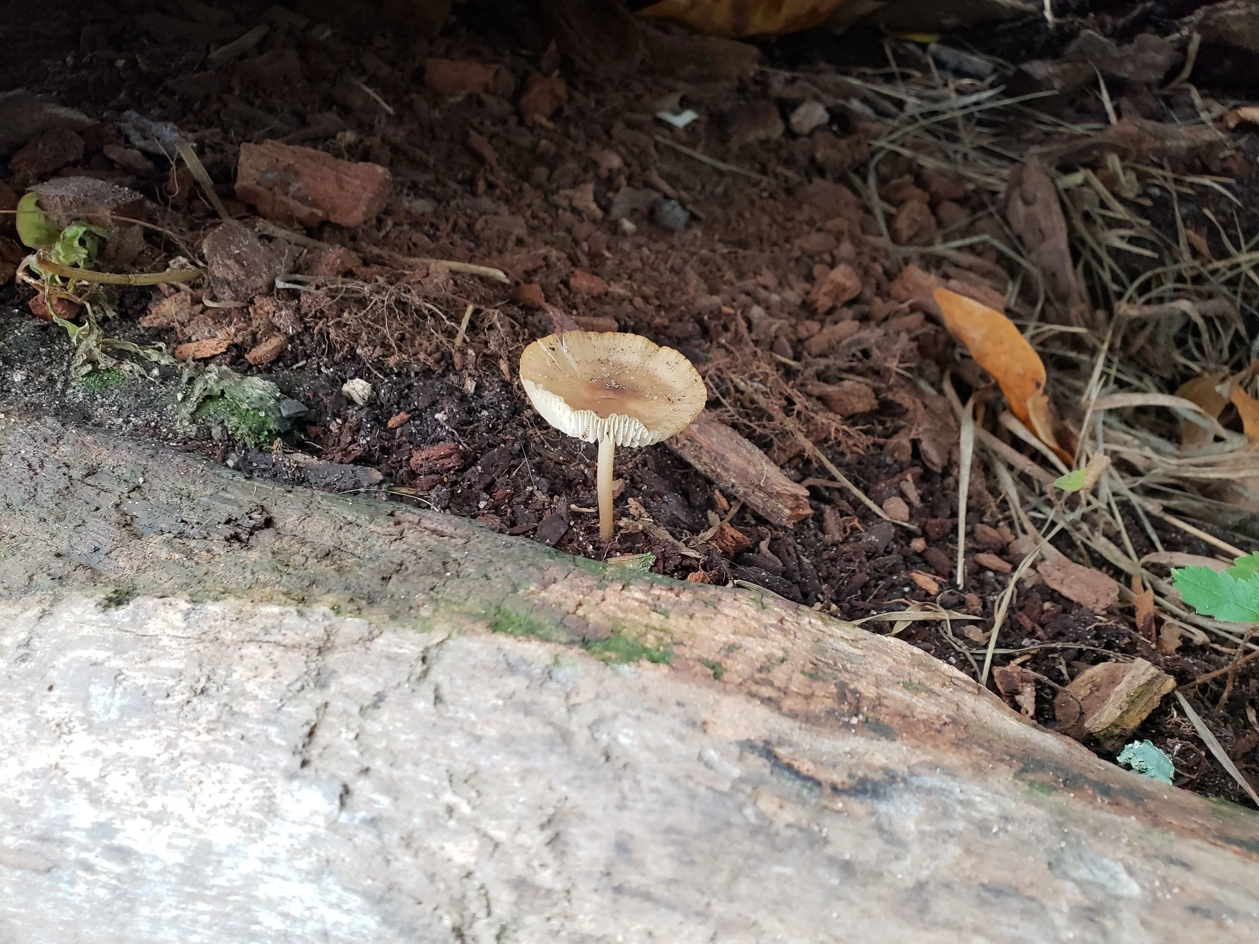 20181015_161702.jpg