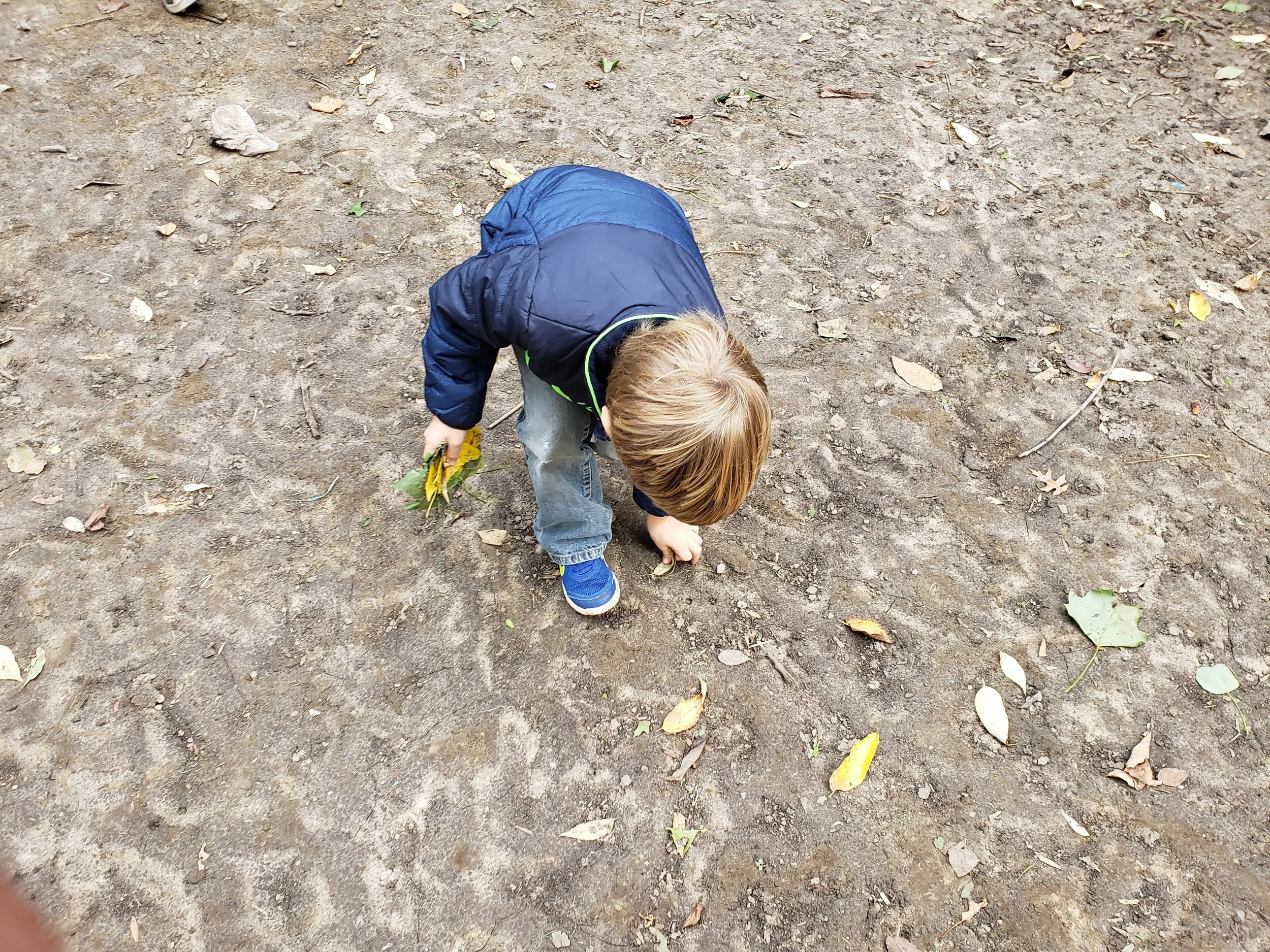 20181016_153340.jpg