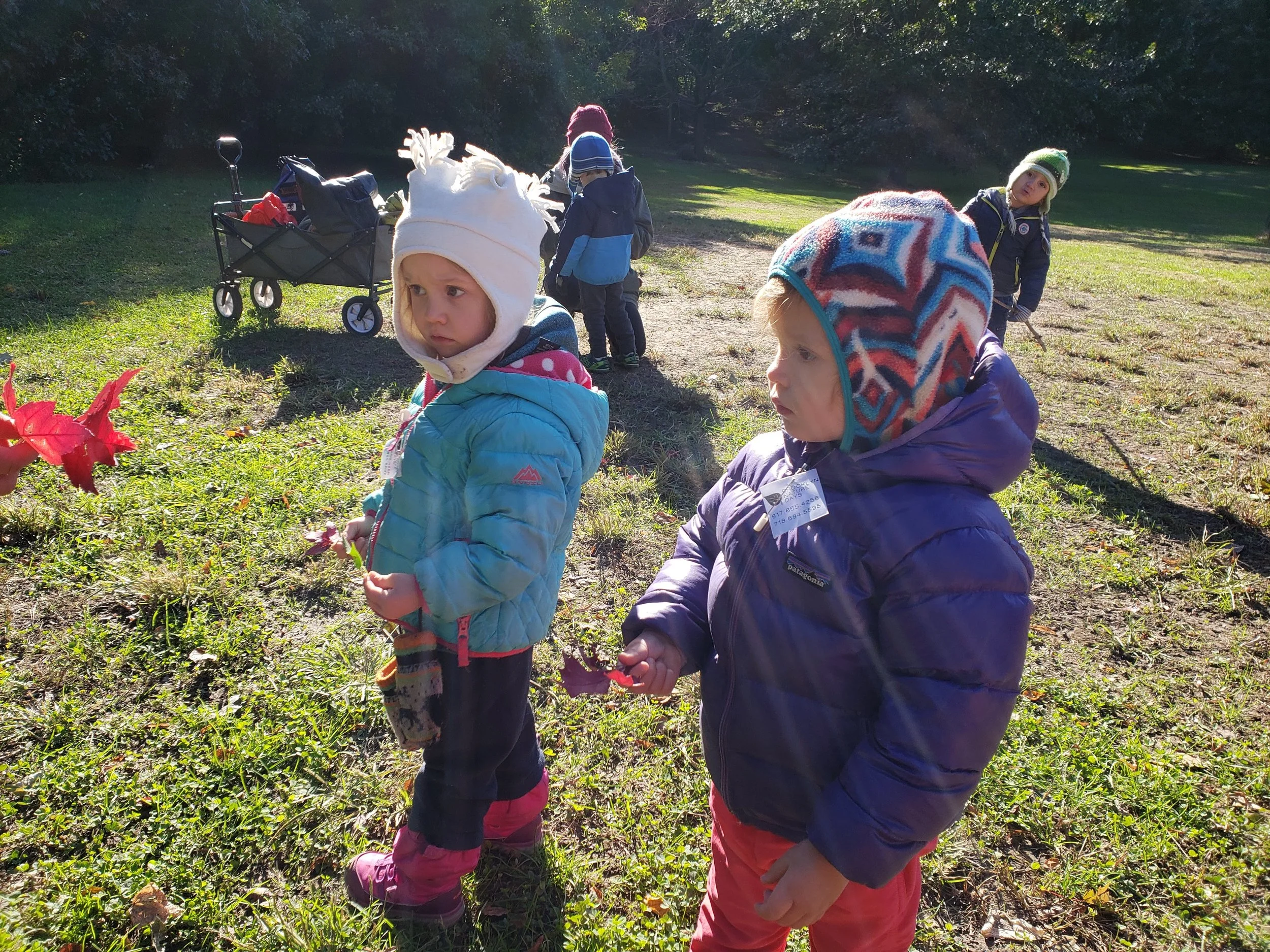 20181018_100257.jpg