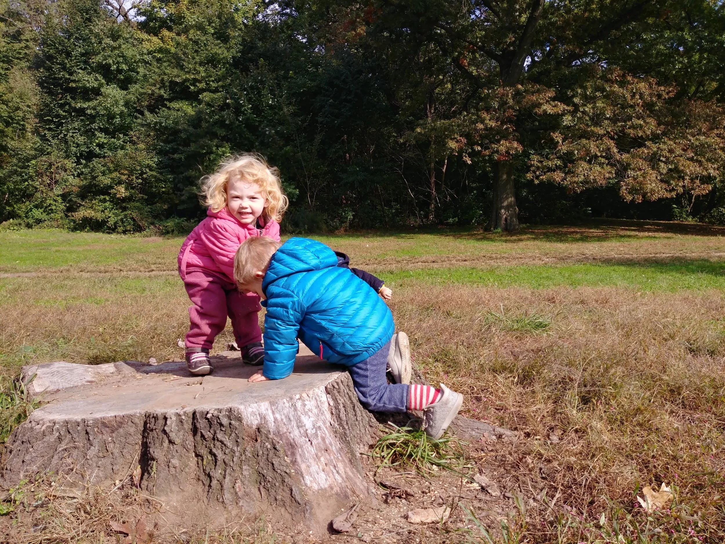 20181023_111826_HDR.jpg
