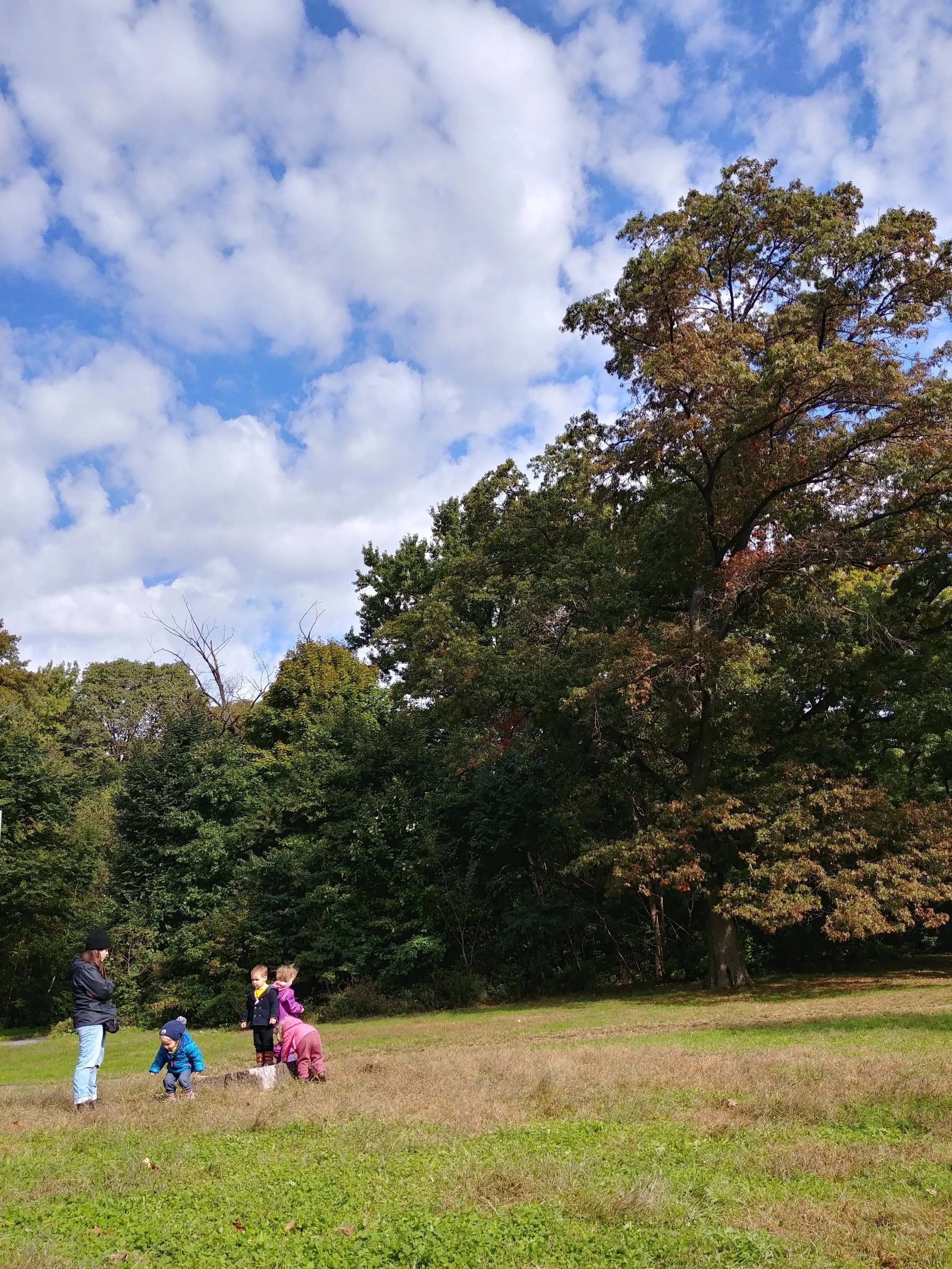 20181023_110936_HDR.jpg
