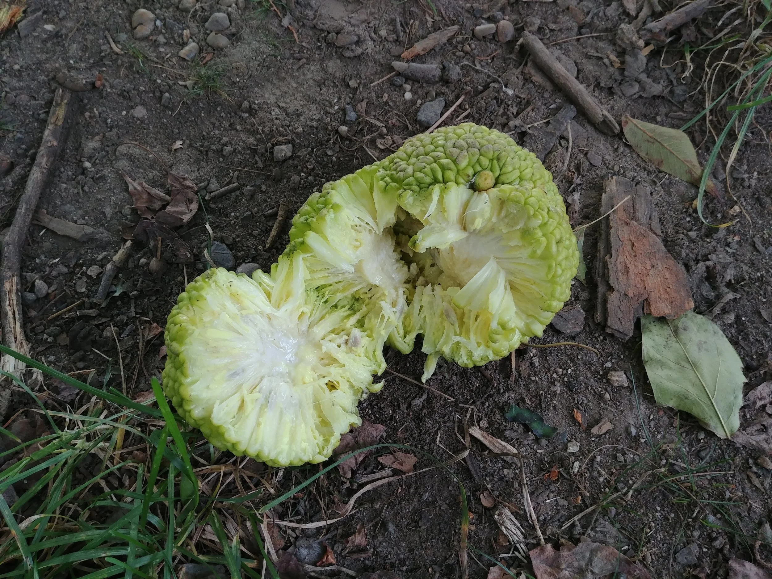 20181023_095843_HDR.jpg