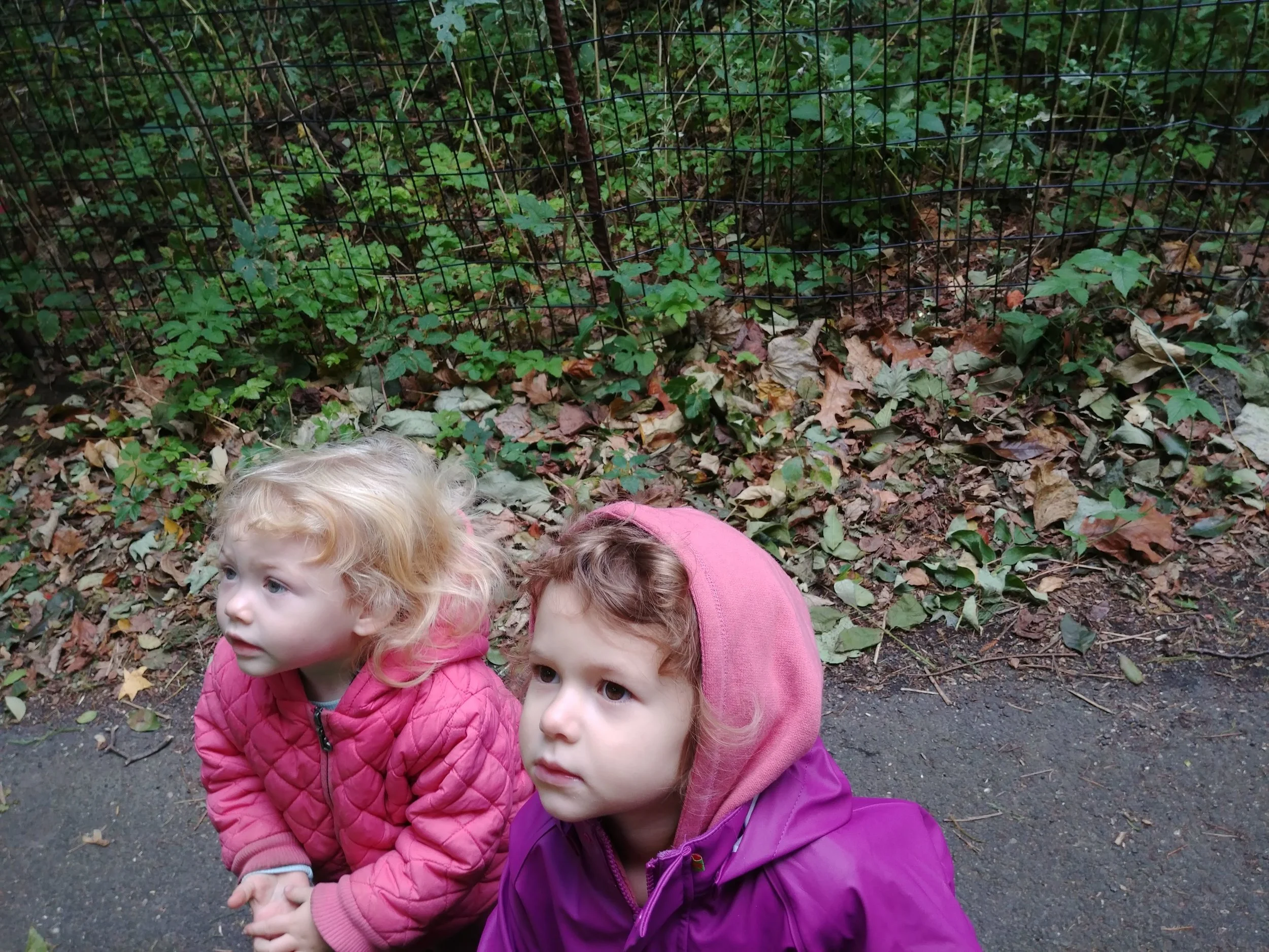 20181023_093455.jpg