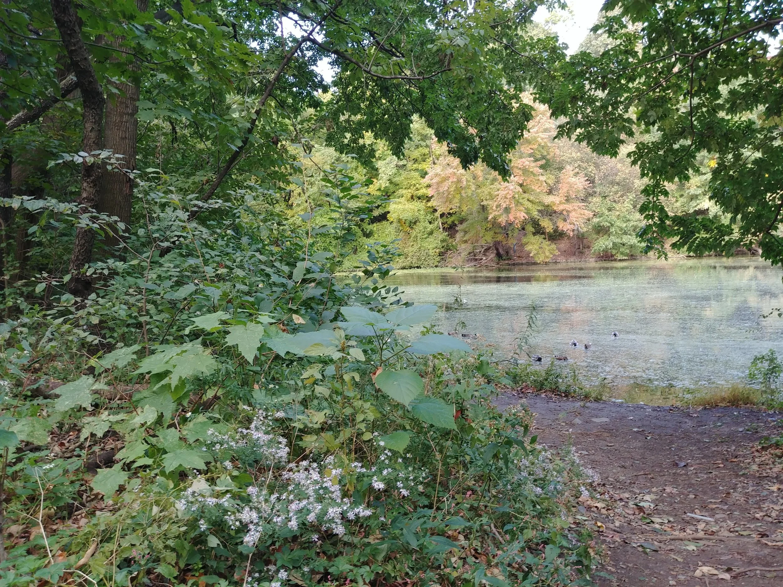 20181023_092746.jpg