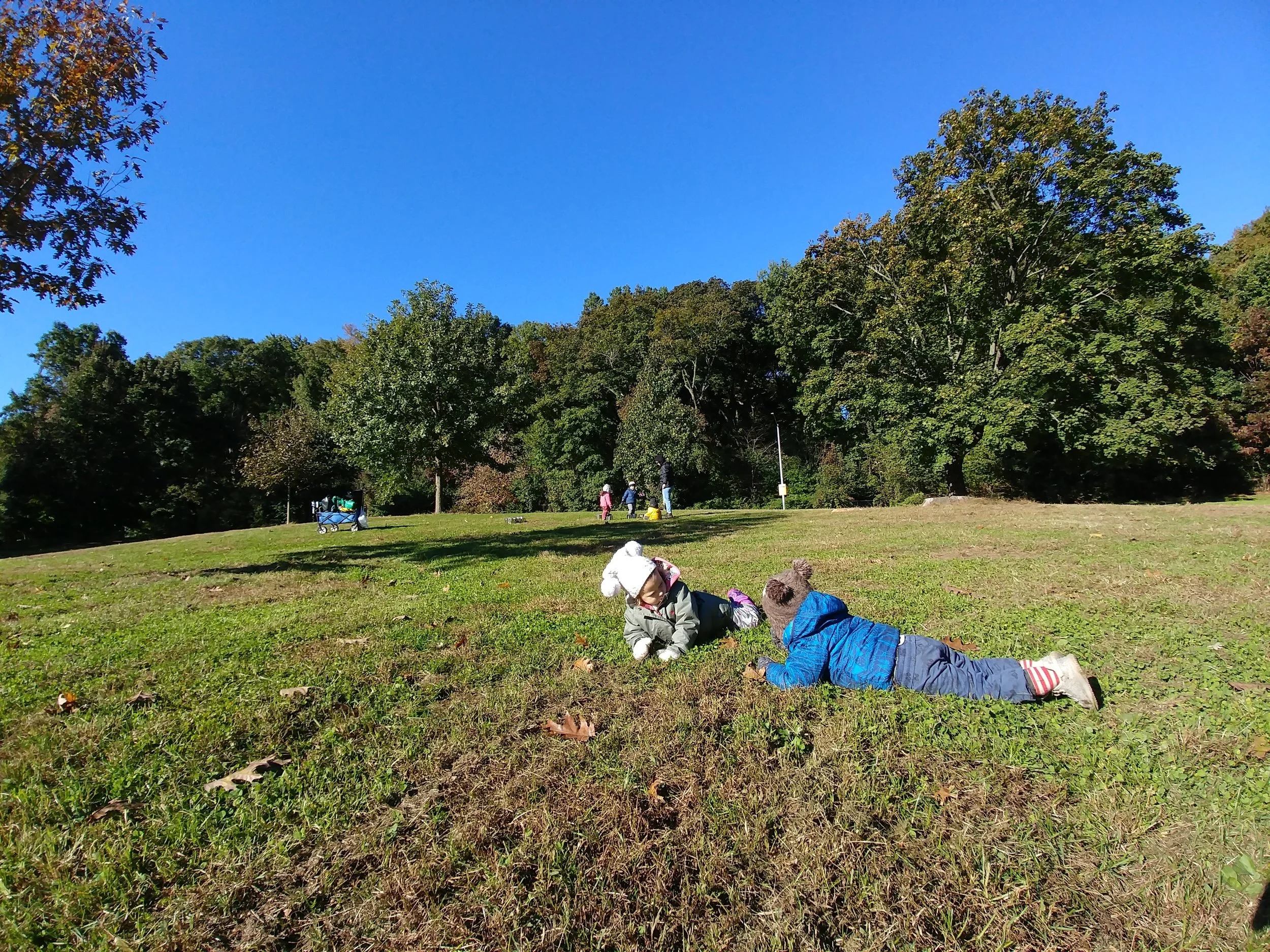20181025_100731.jpg