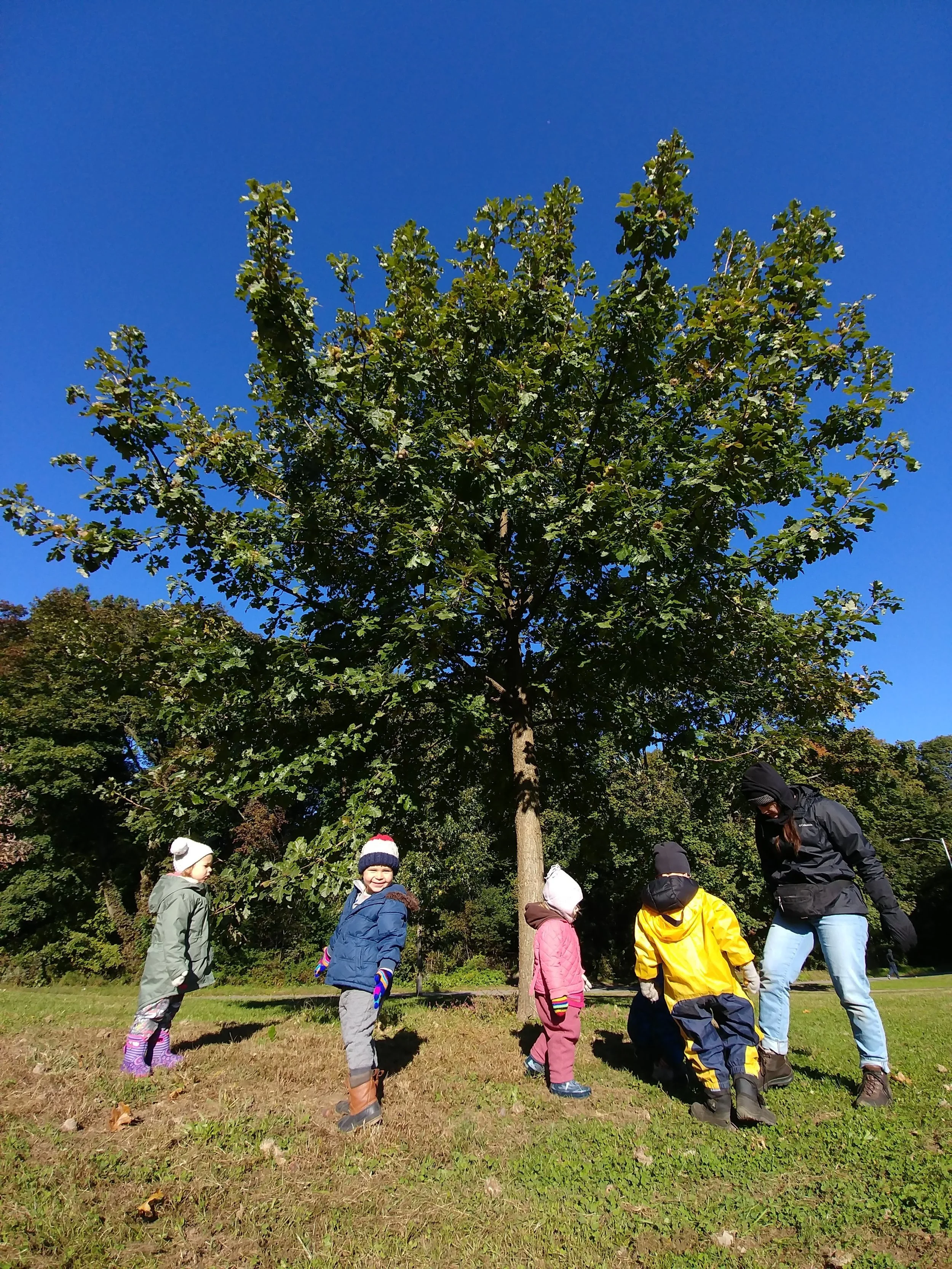 20181025_094938.jpg