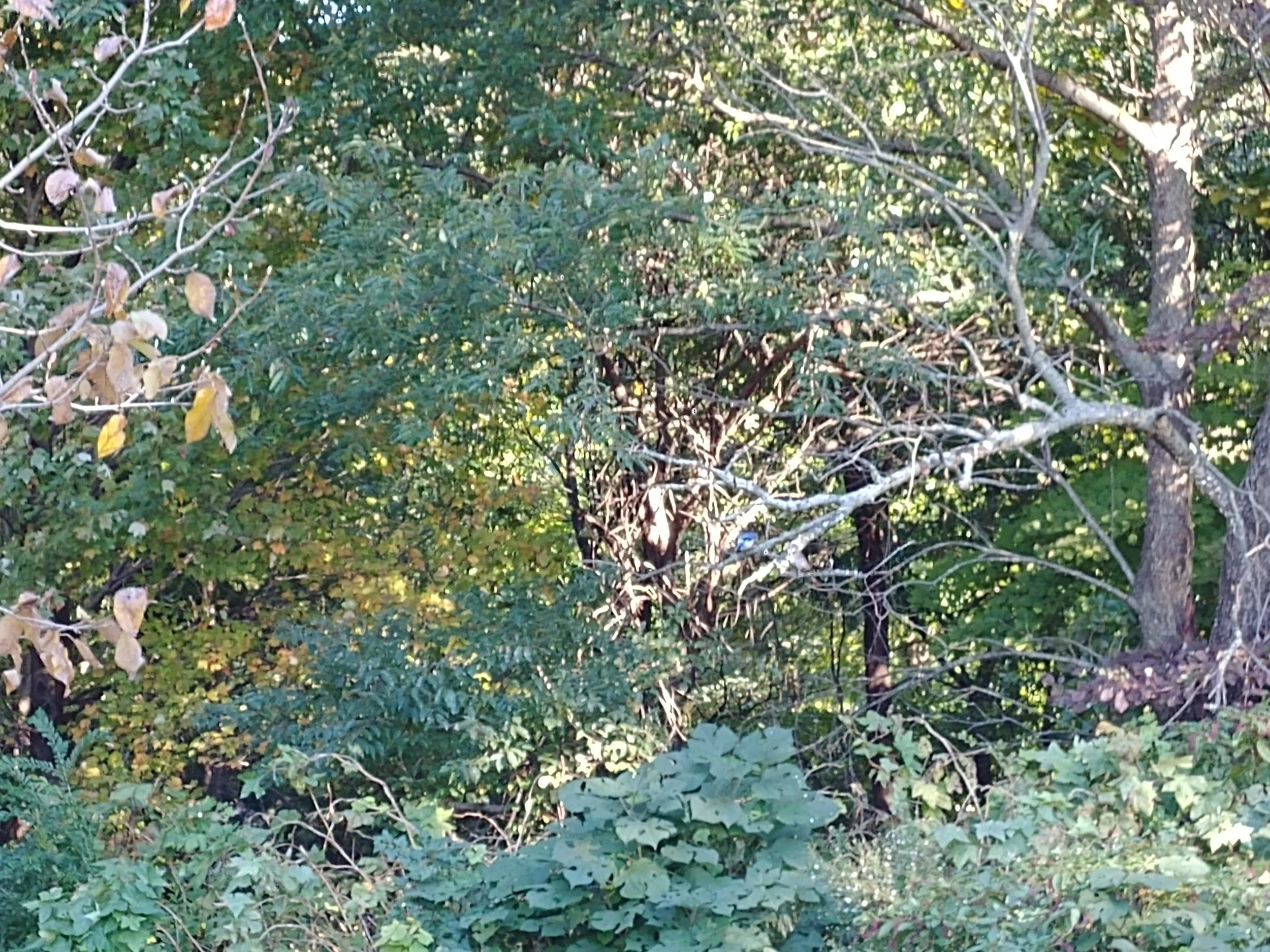 20181025_094428.jpg