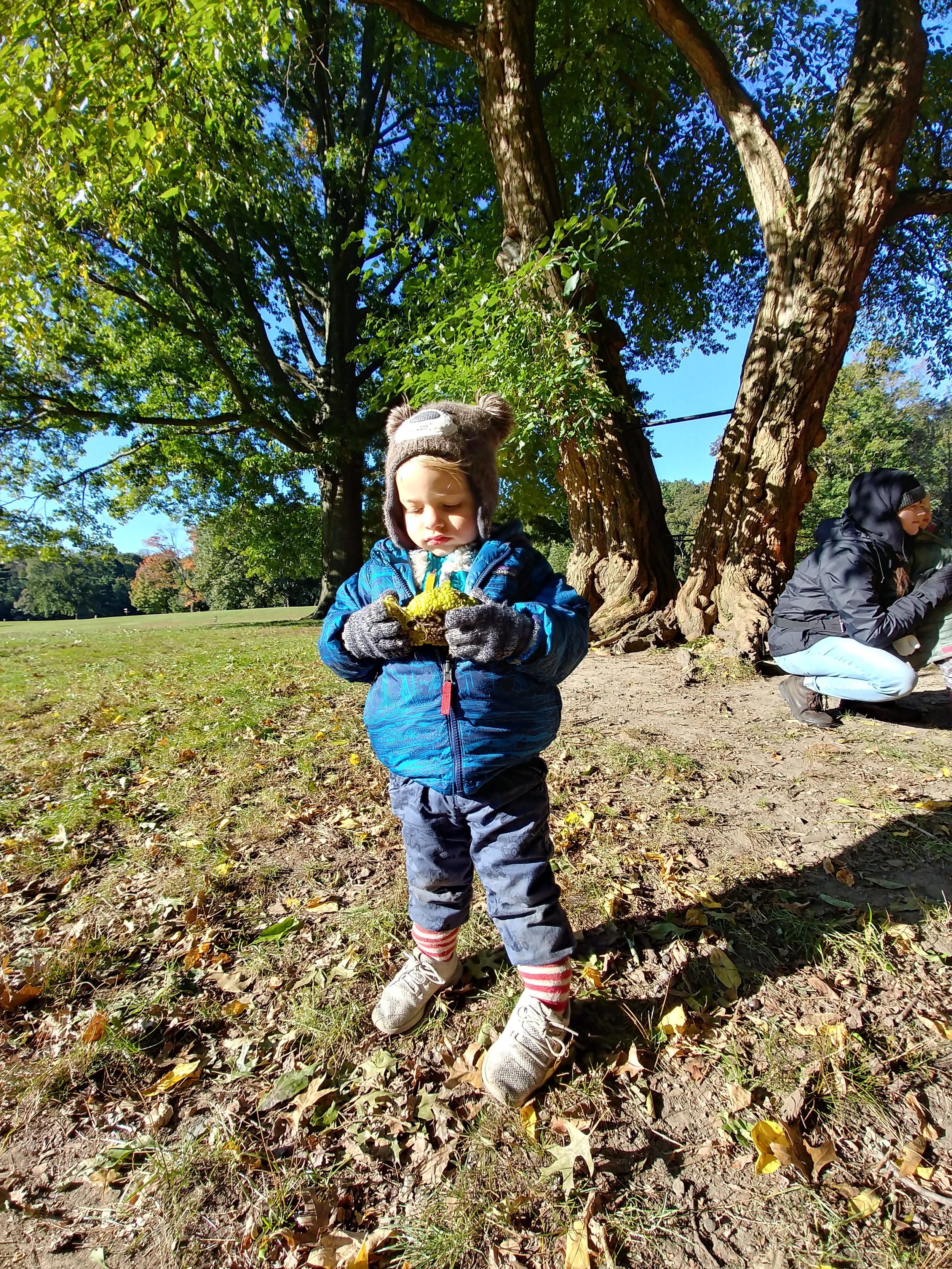 20181025_093944_HDR.jpg