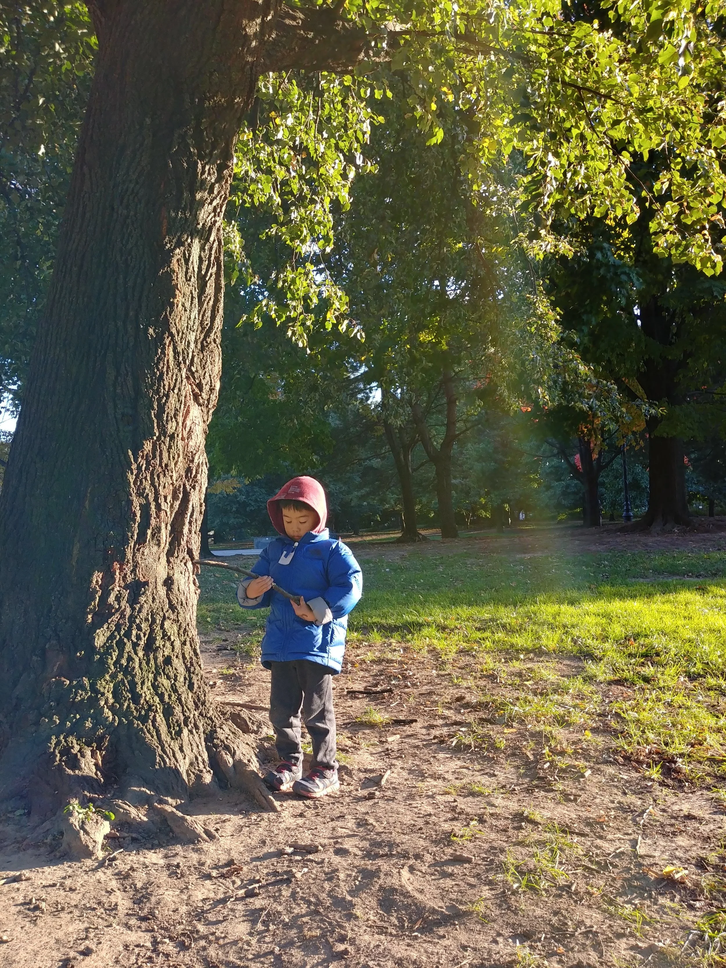 20181024_165830_HDR.jpg