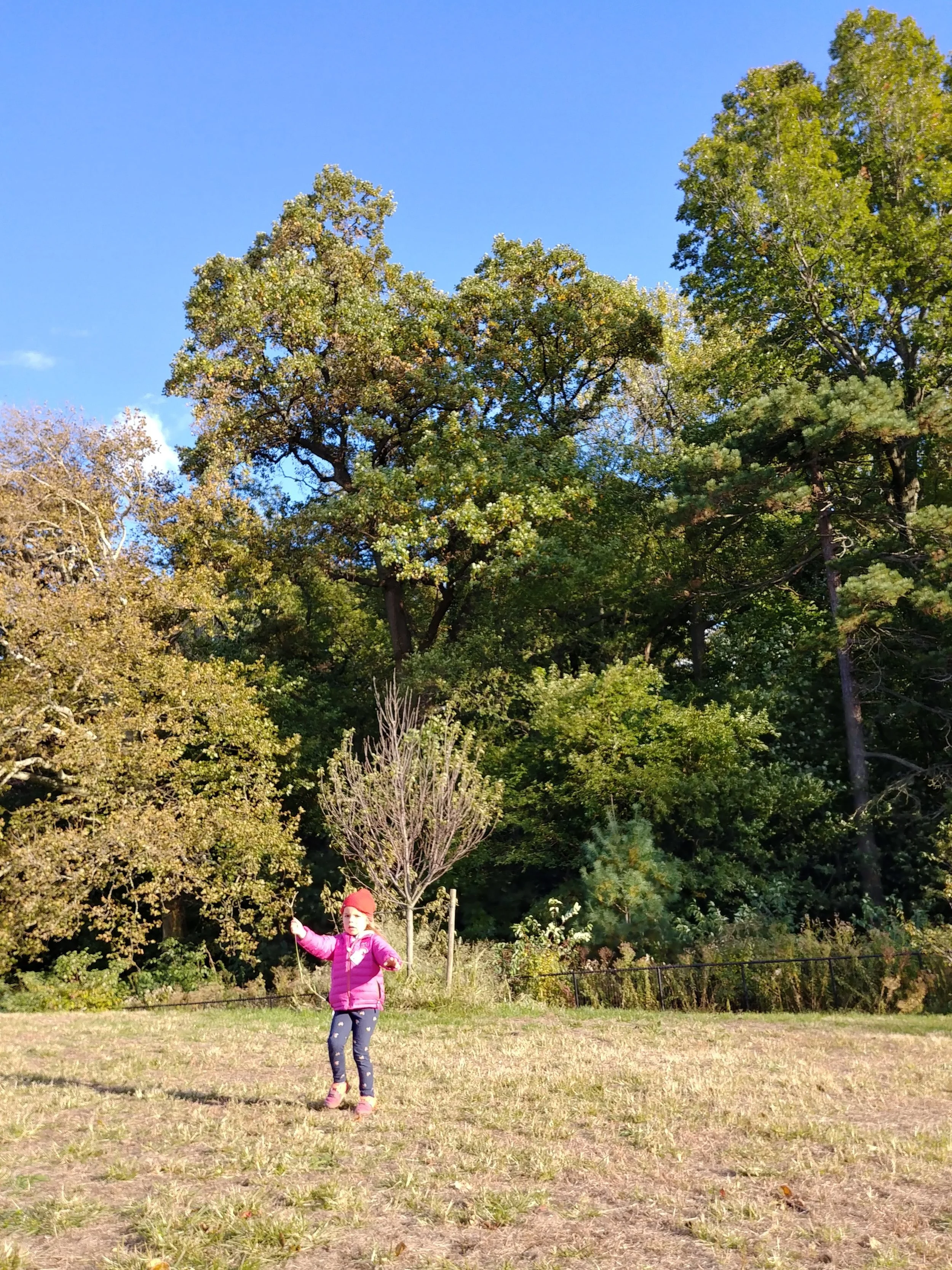 20181024_162038_HDR.jpg
