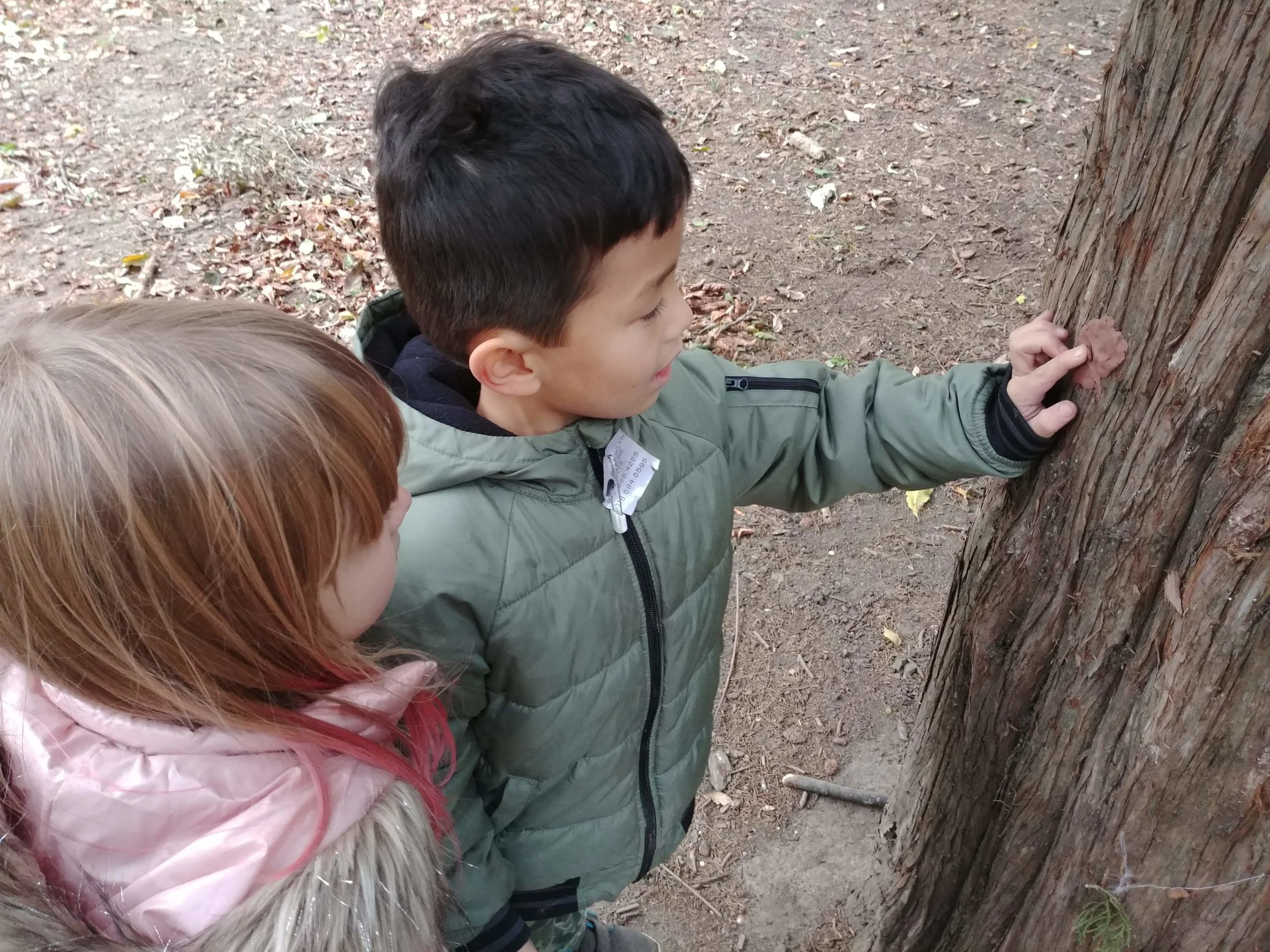 20181022_171009.jpg
