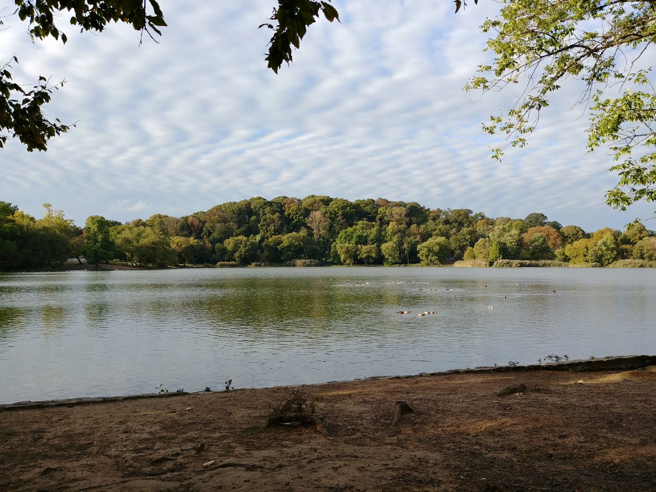 20181022_161647_HDR.jpg