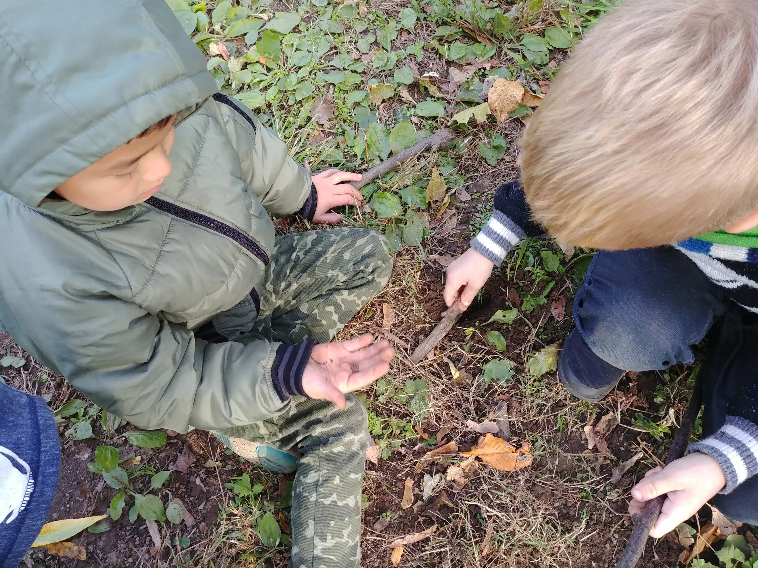 20181022_160914.jpg