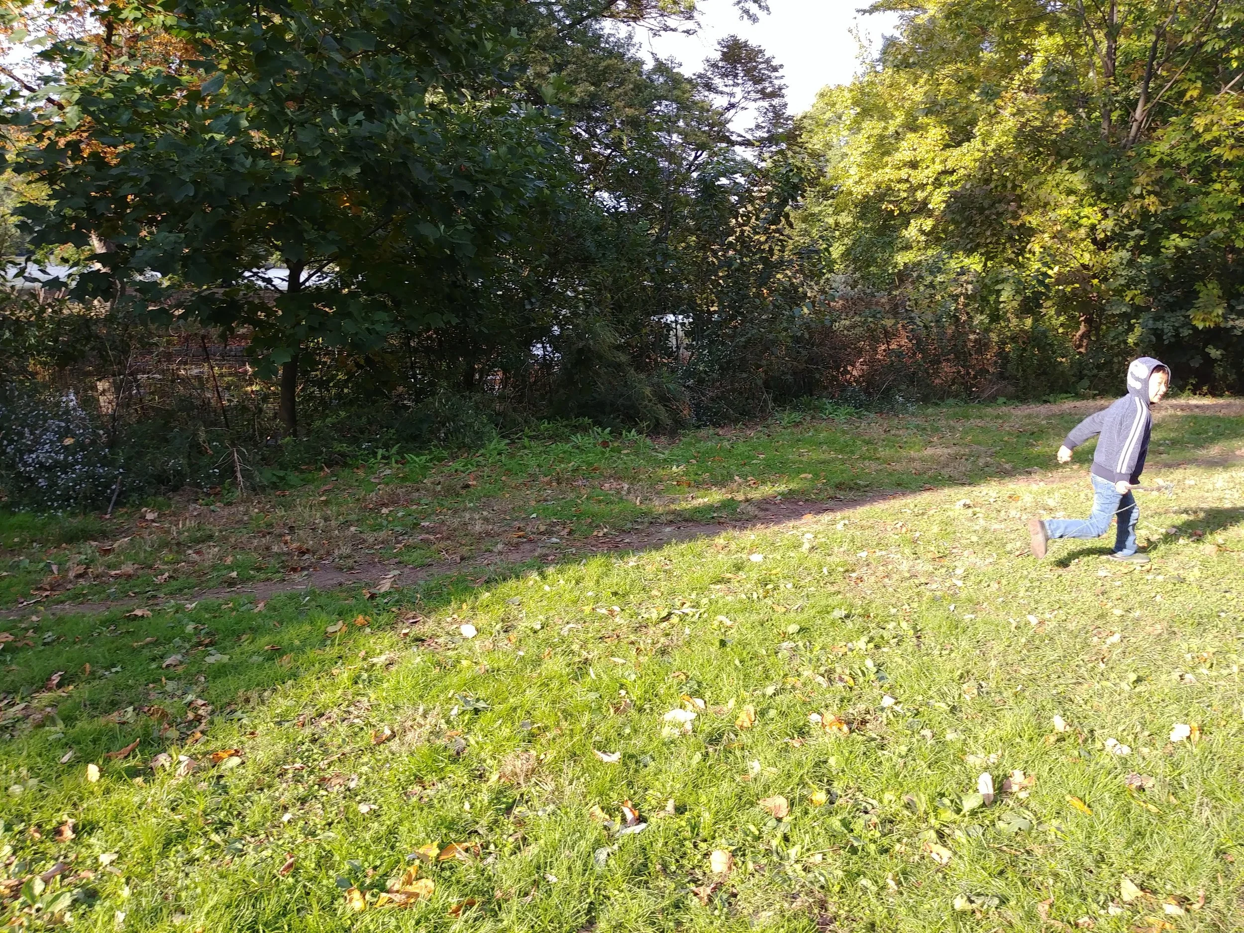 20181022_160223_HDR.jpg