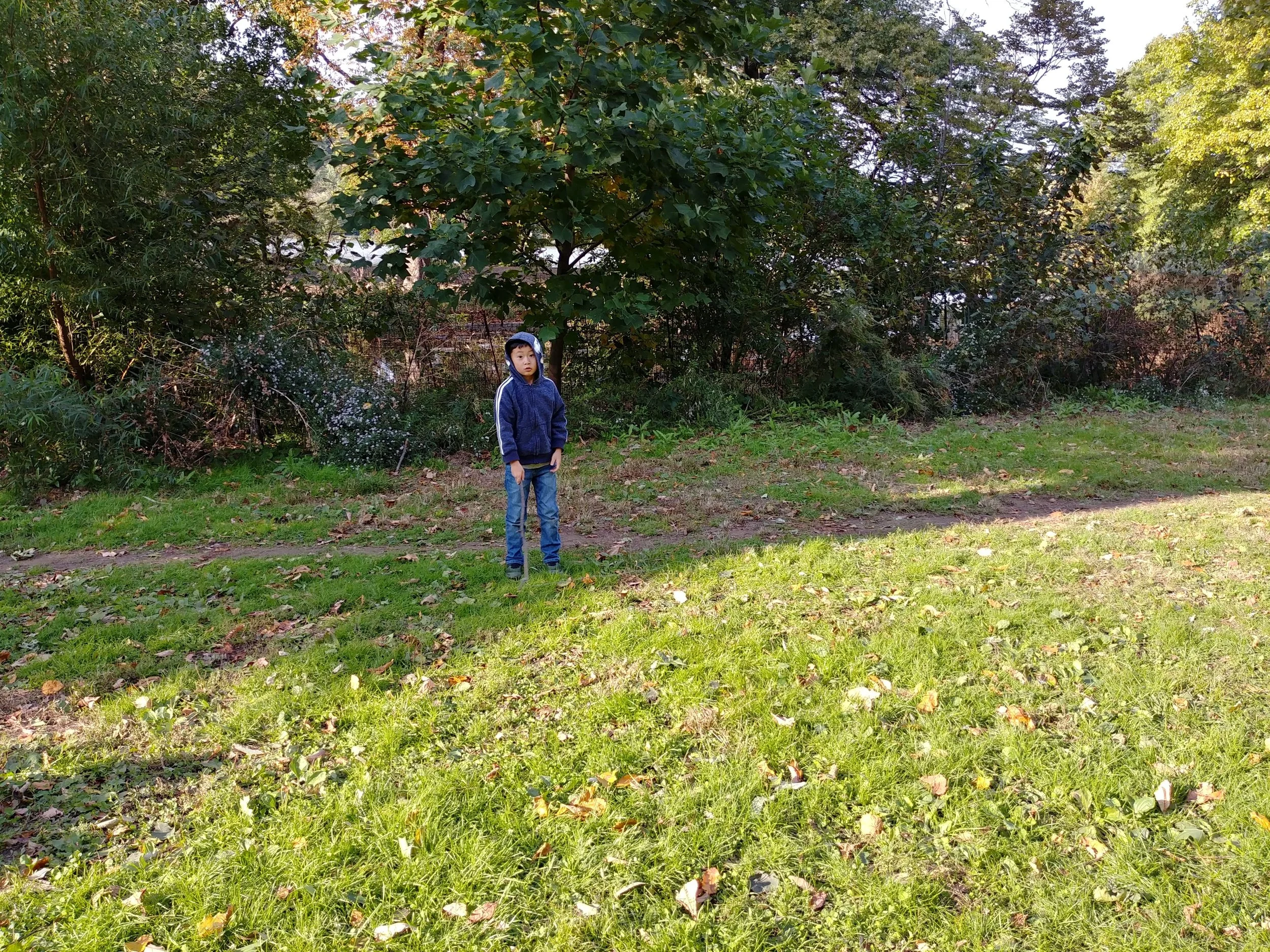 20181022_160216_HDR.jpg