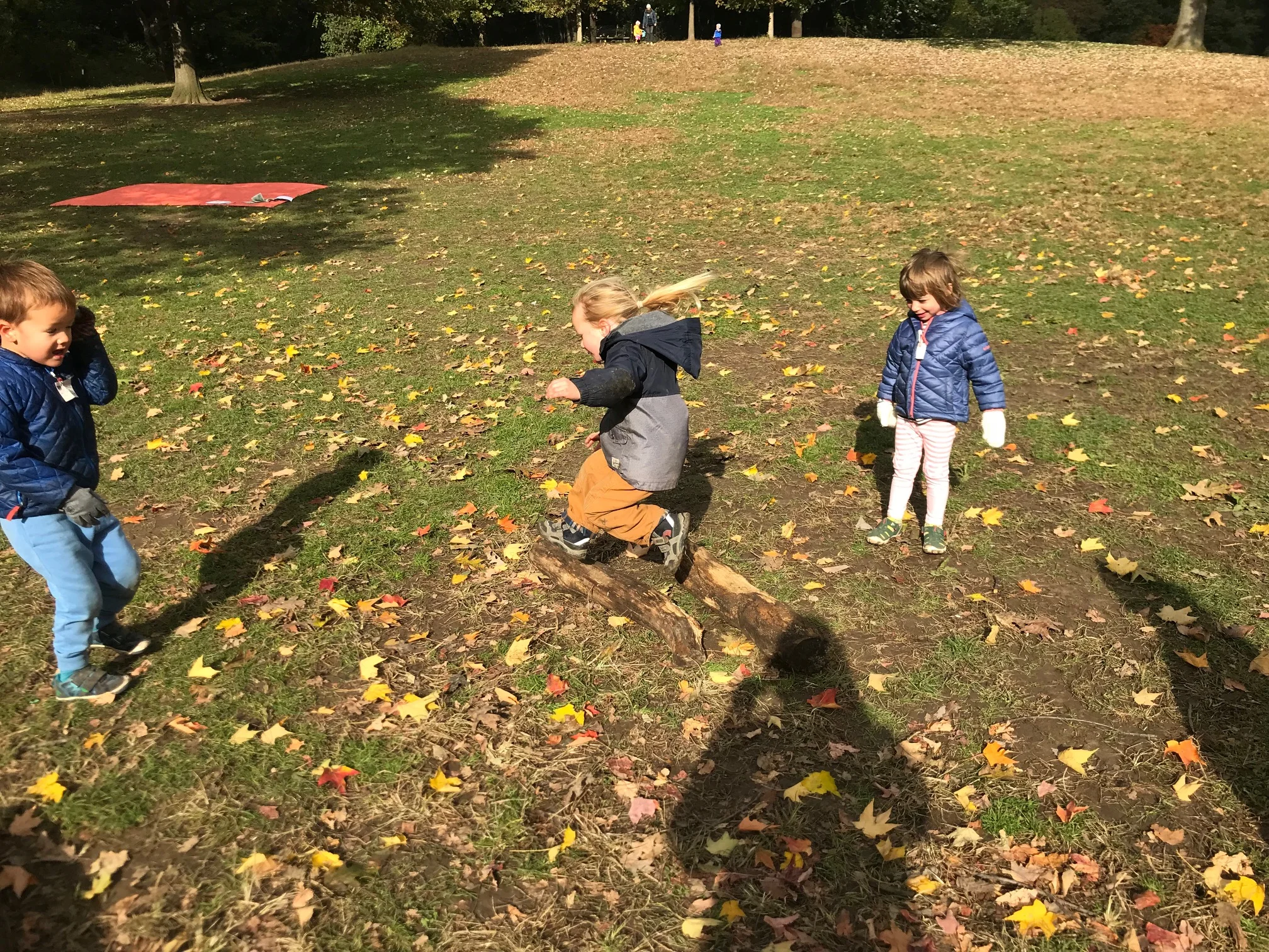 IMG_5521.jpg