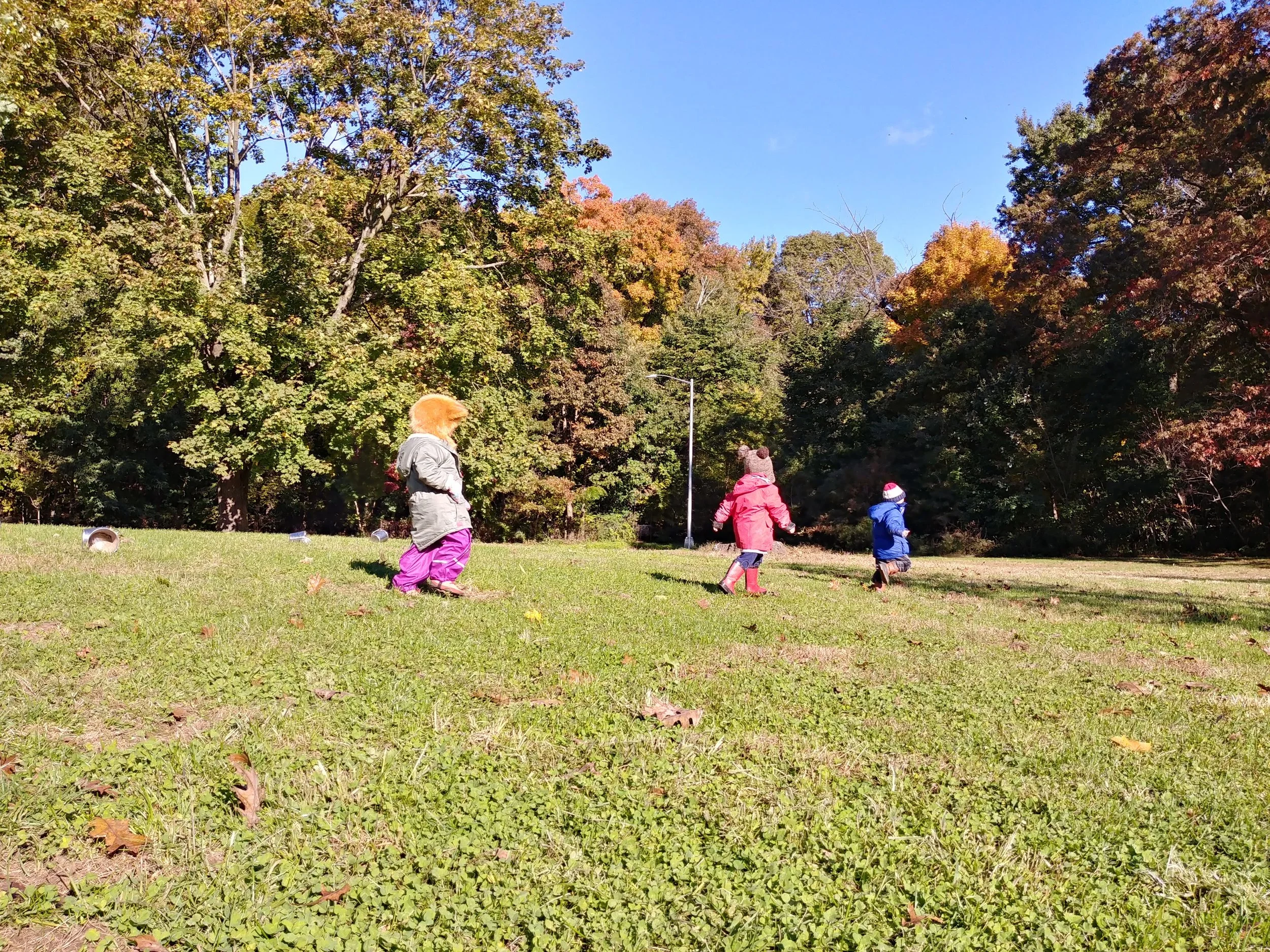 20181030_101007_HDR.jpg