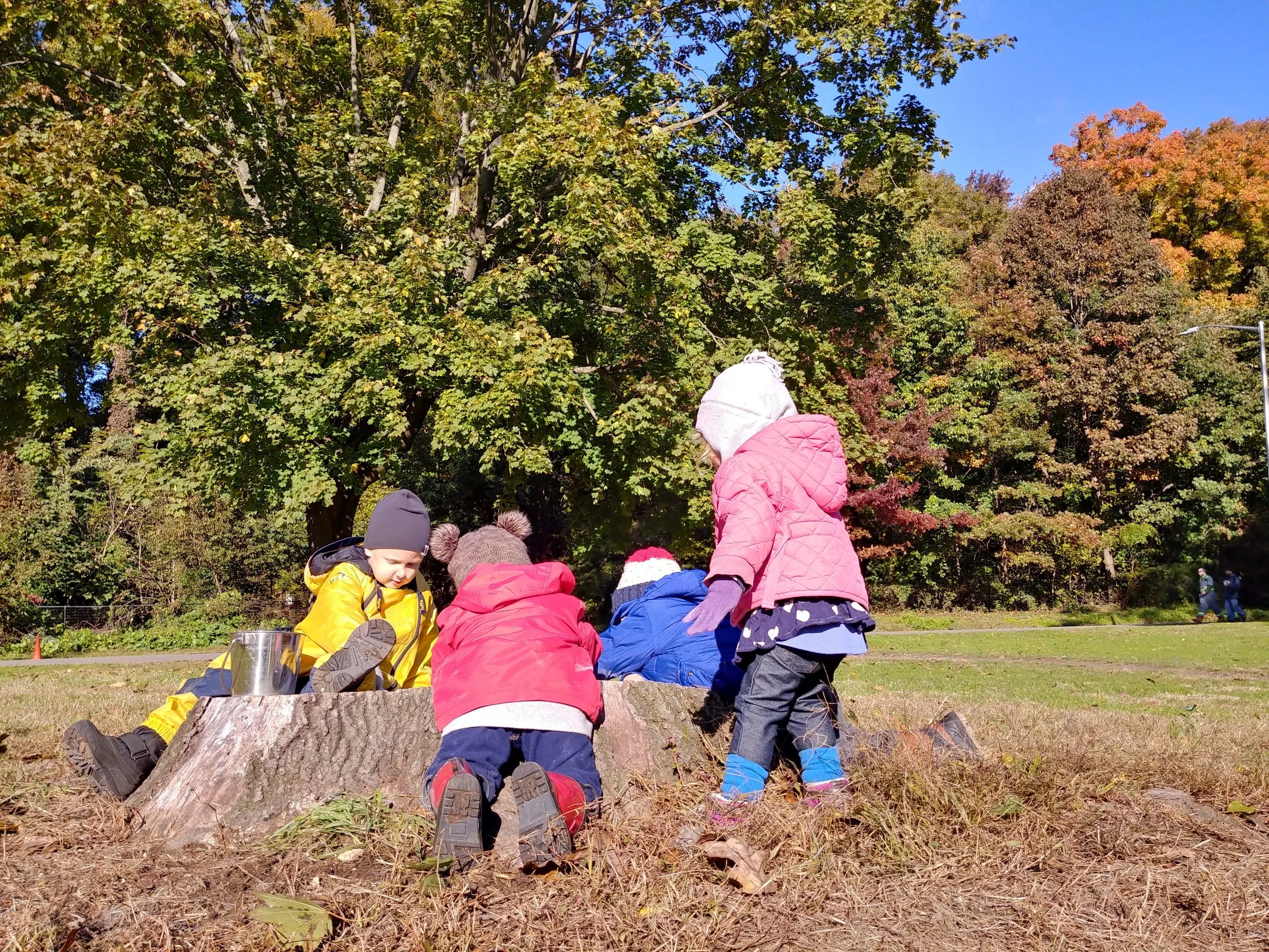 20181030_095531_HDR.jpg