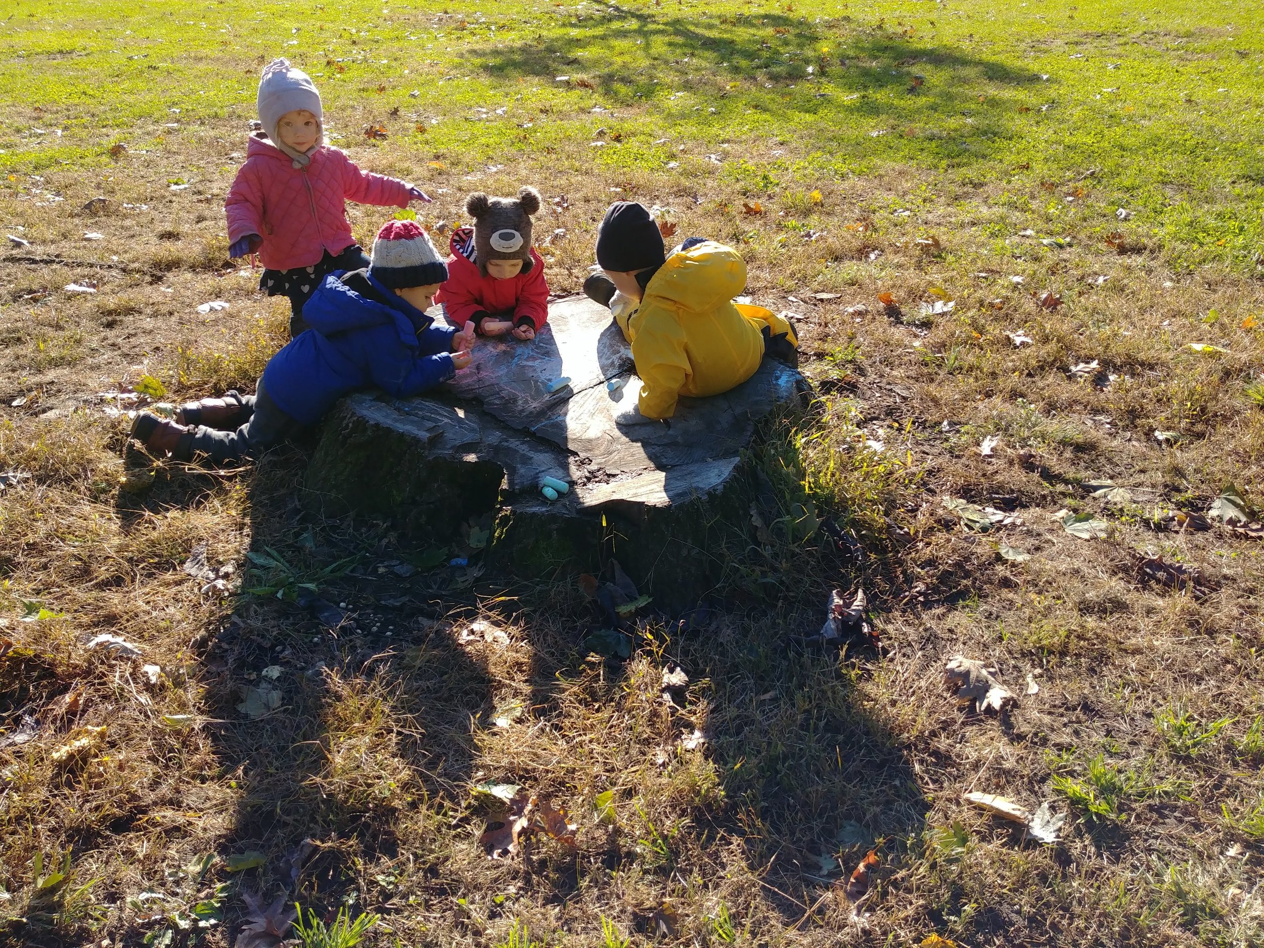 20181030_095553.jpg