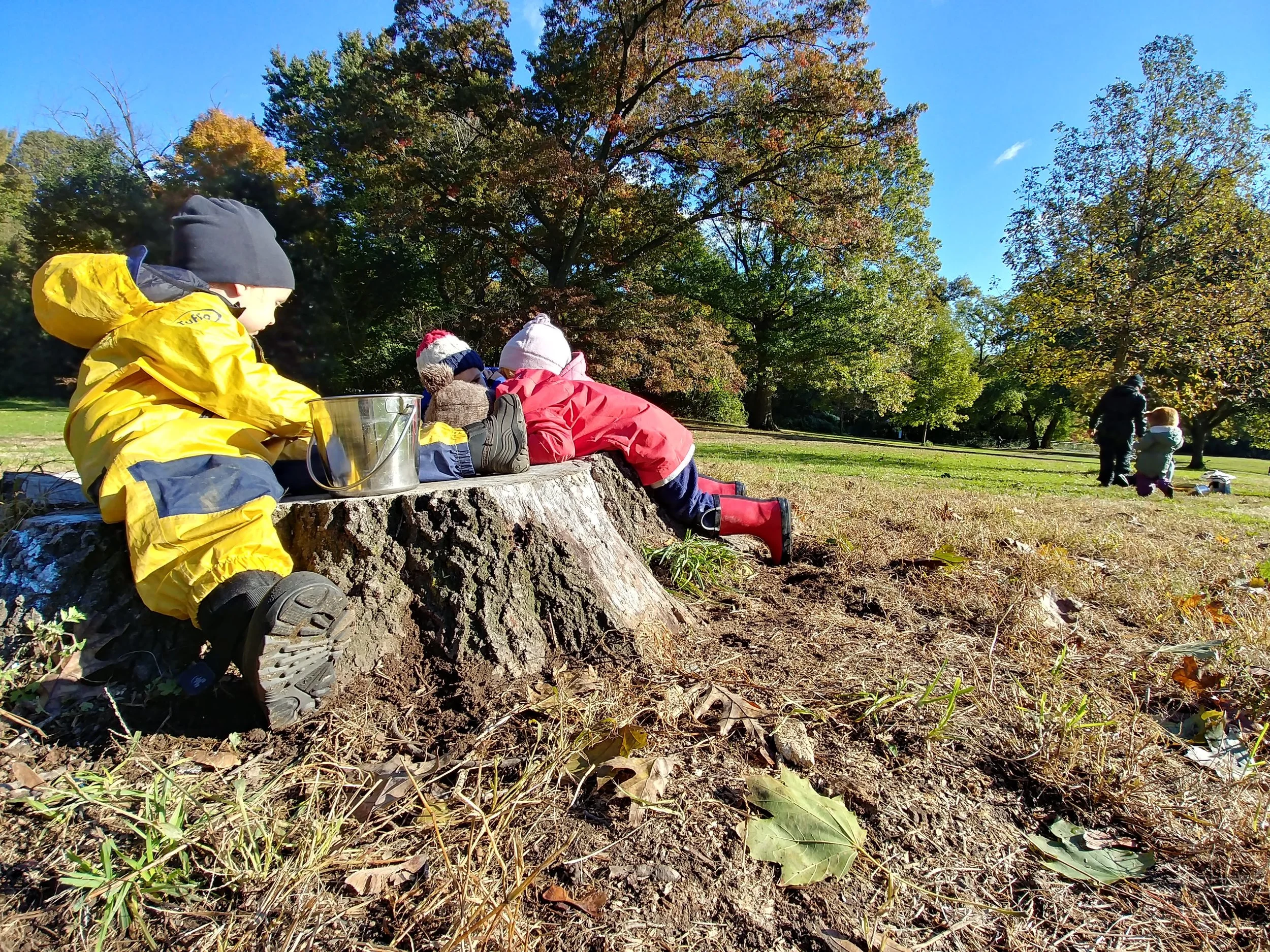 20181030_095513_HDR.jpg