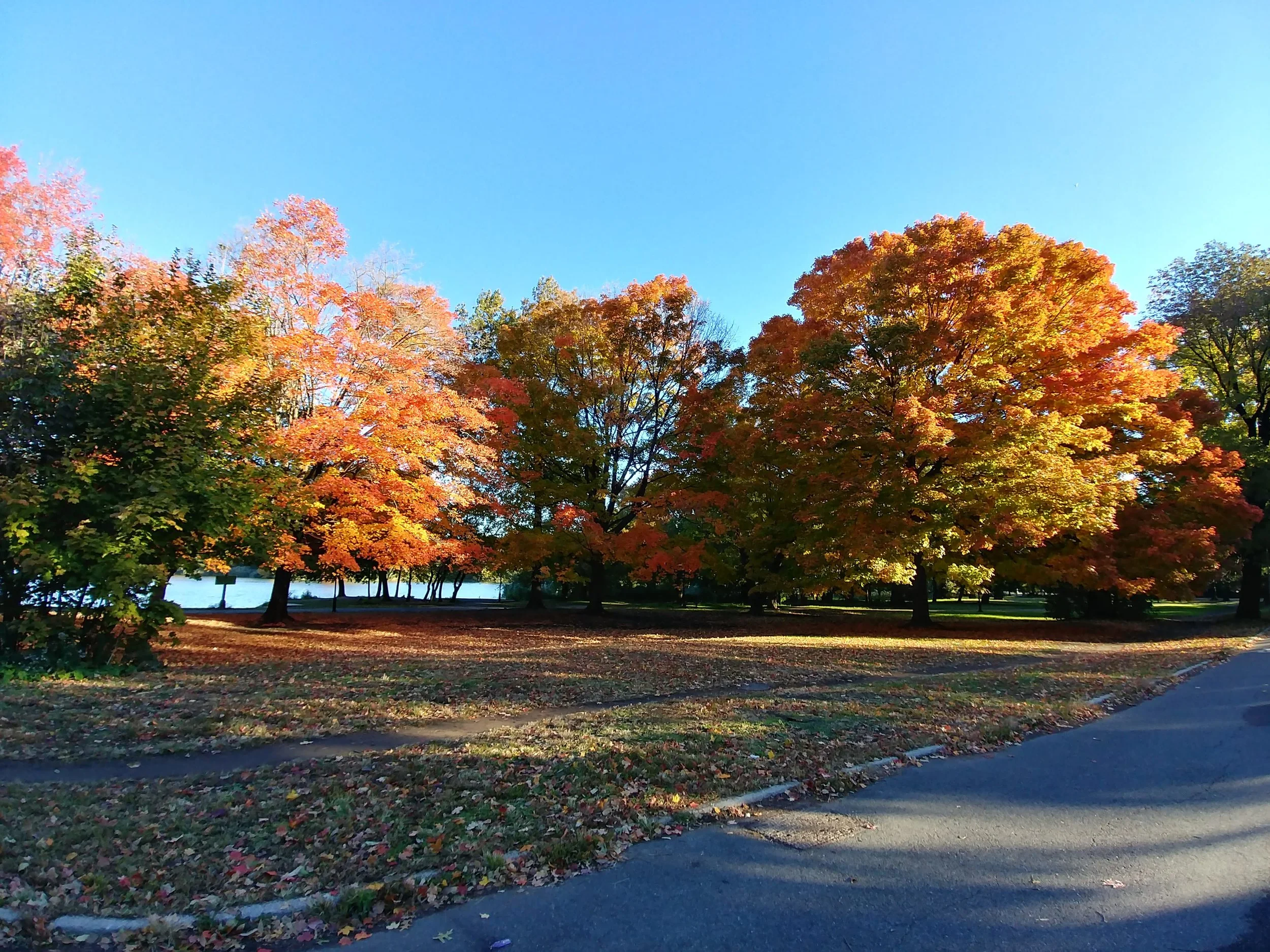 20181030_085242_HDR.jpg