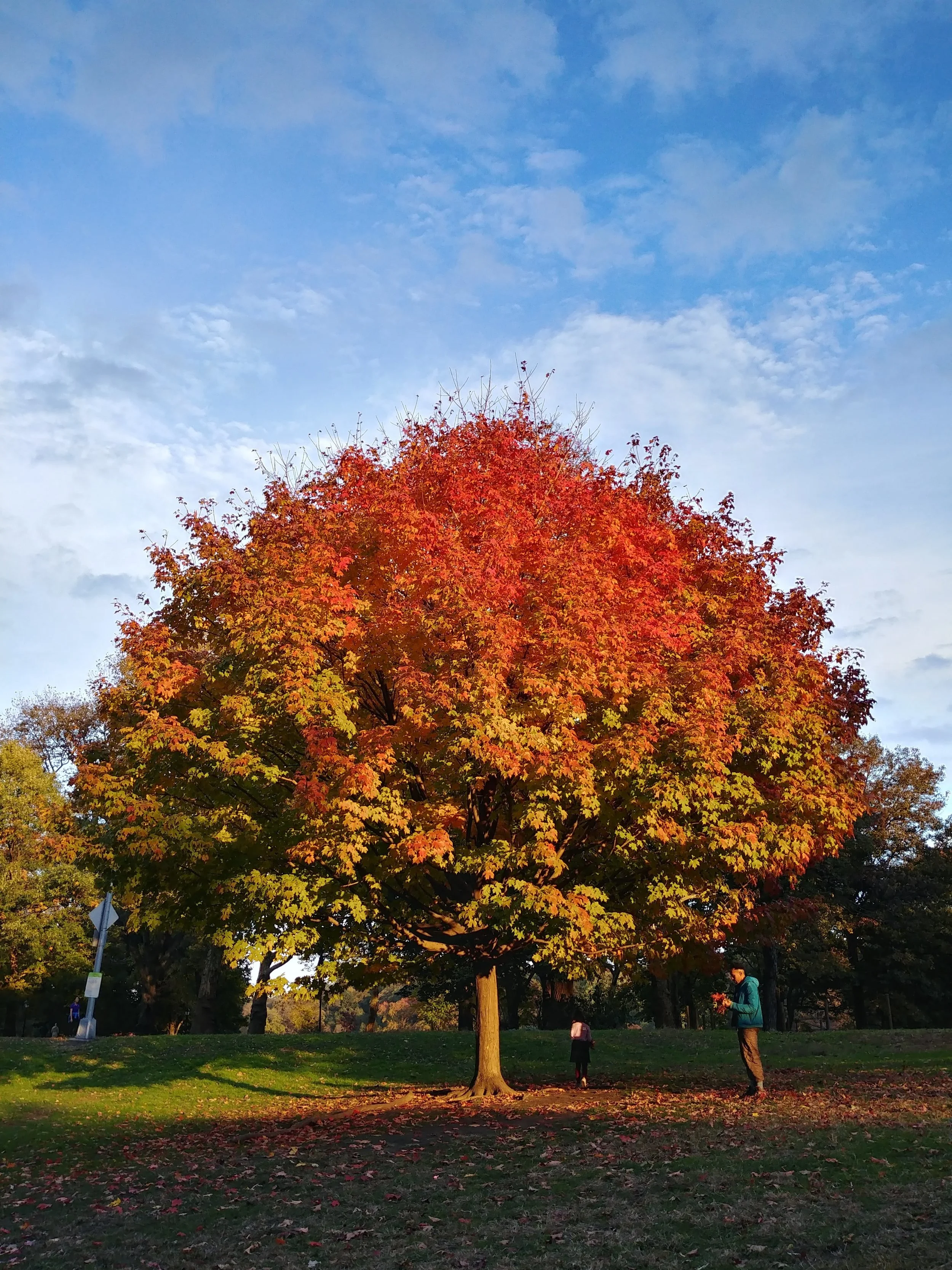20181031_170514_HDR.jpg