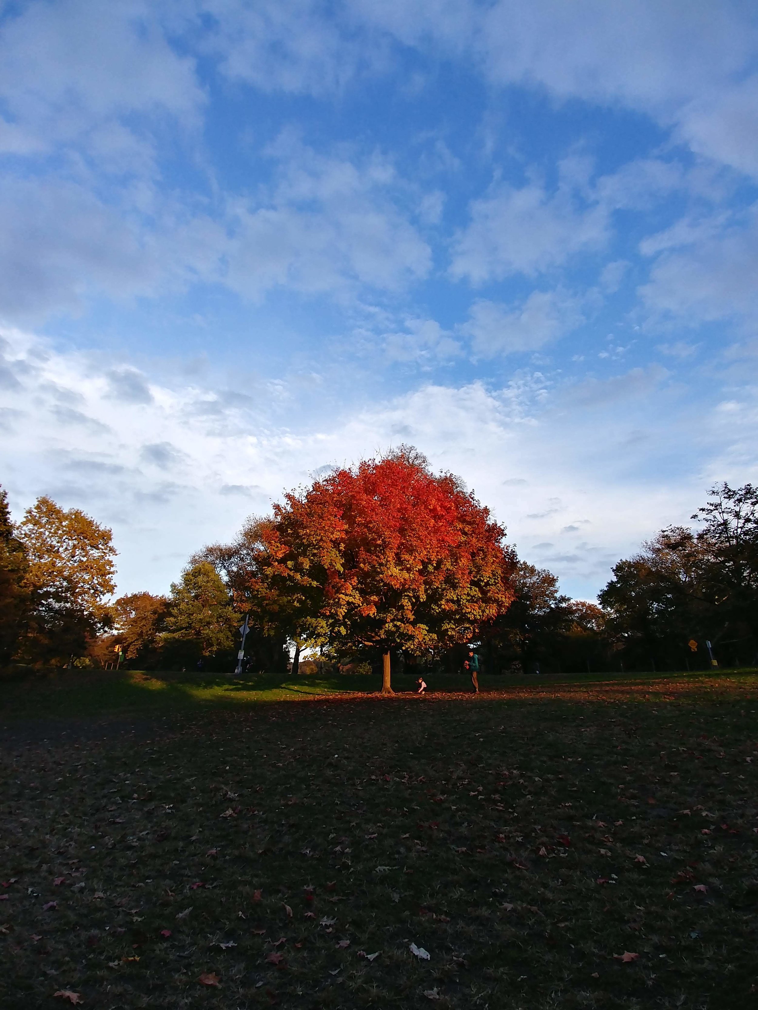 20181031_170505_HDR.jpg