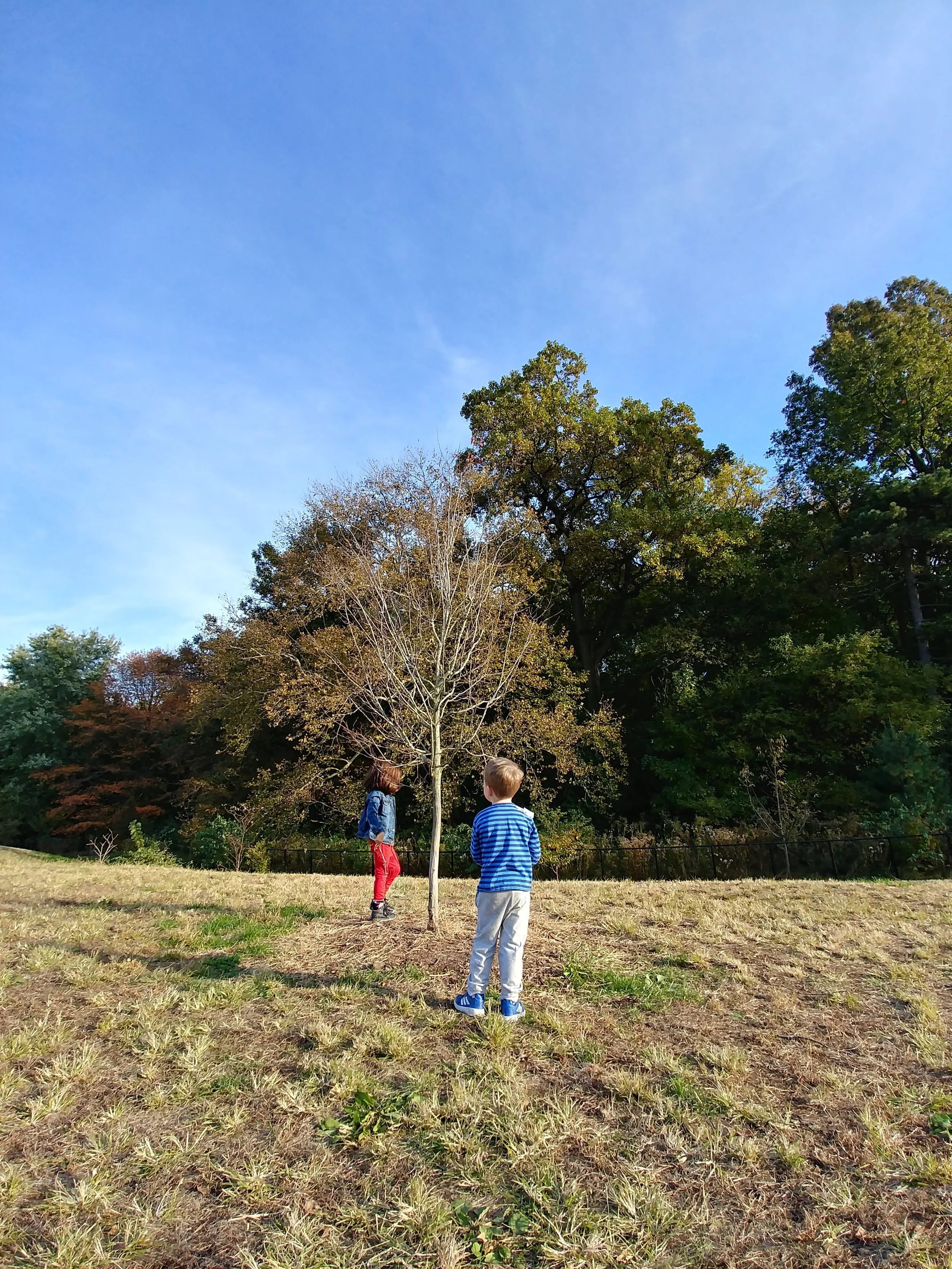 20181031_161120_HDR.jpg