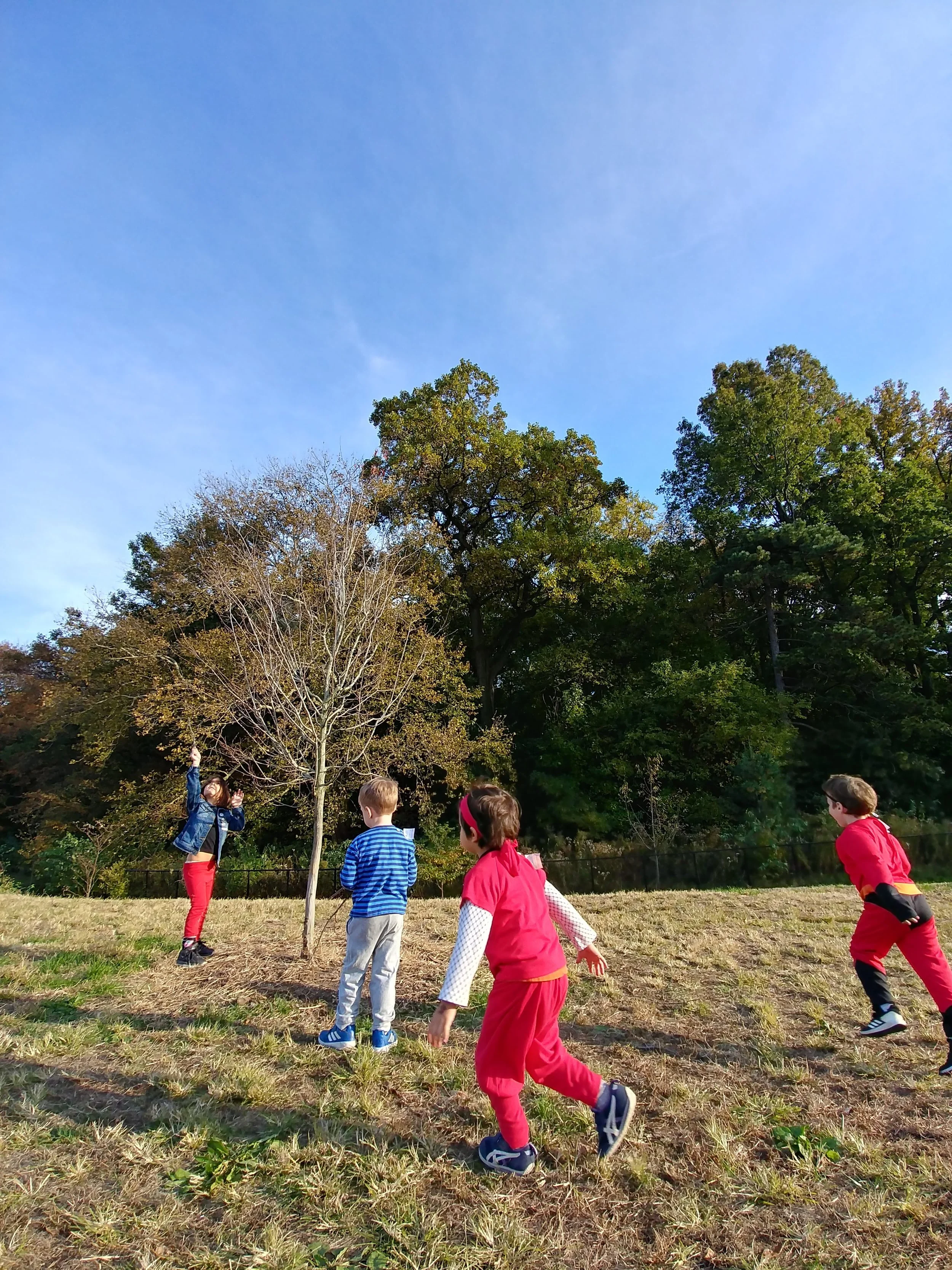 20181031_161113_HDR.jpg