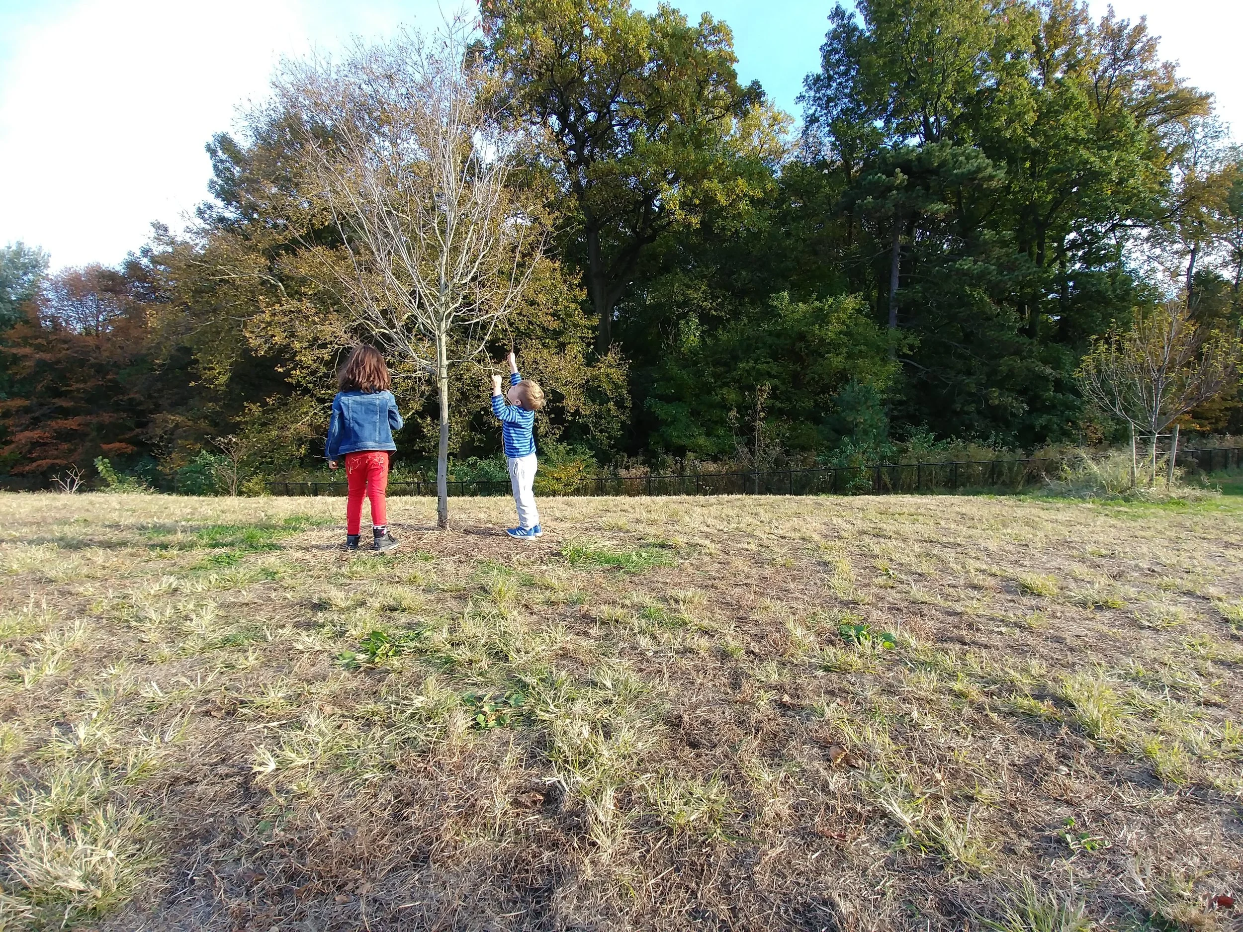 20181031_161107.jpg