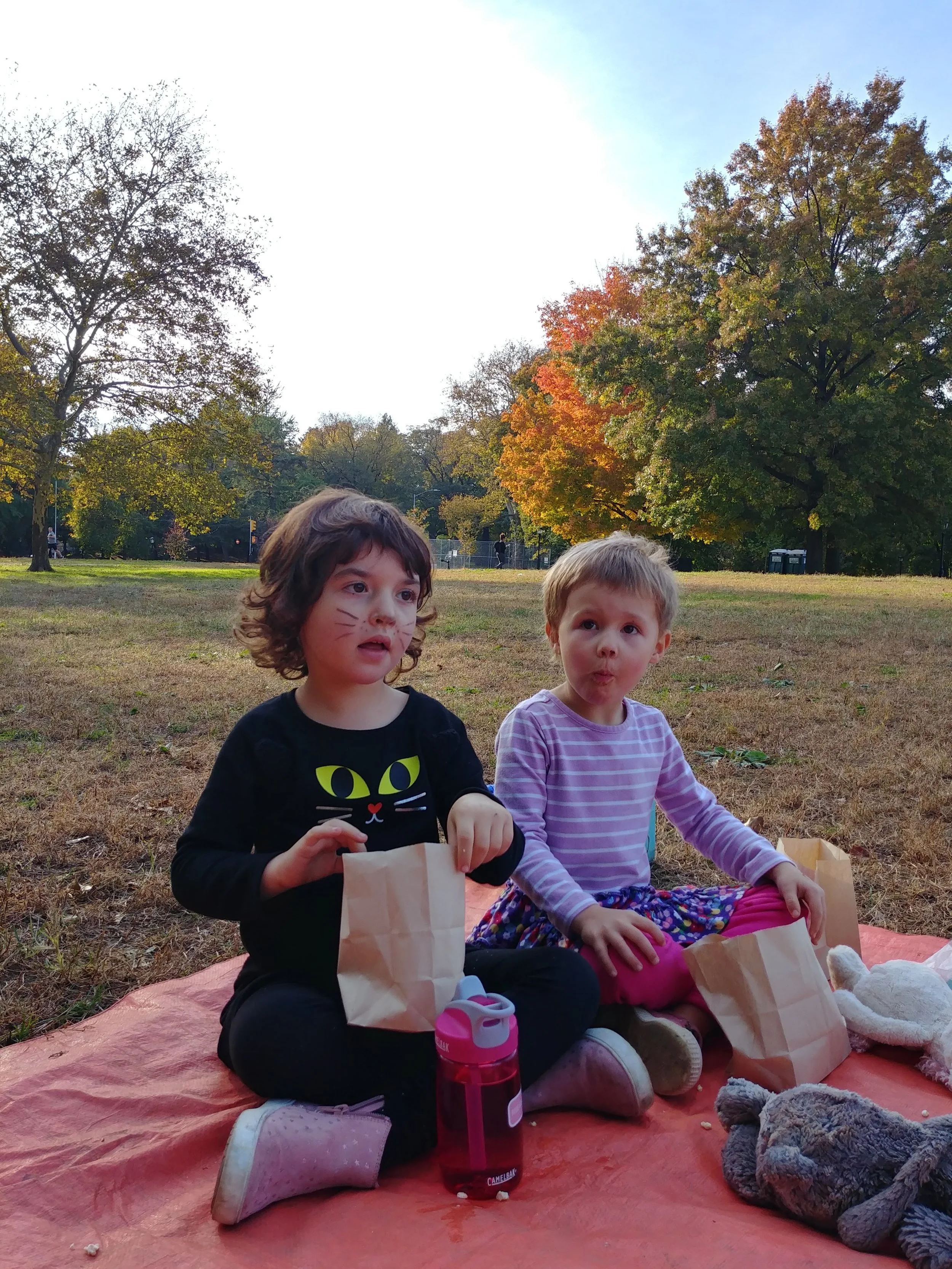 20181031_160117_HDR.jpg