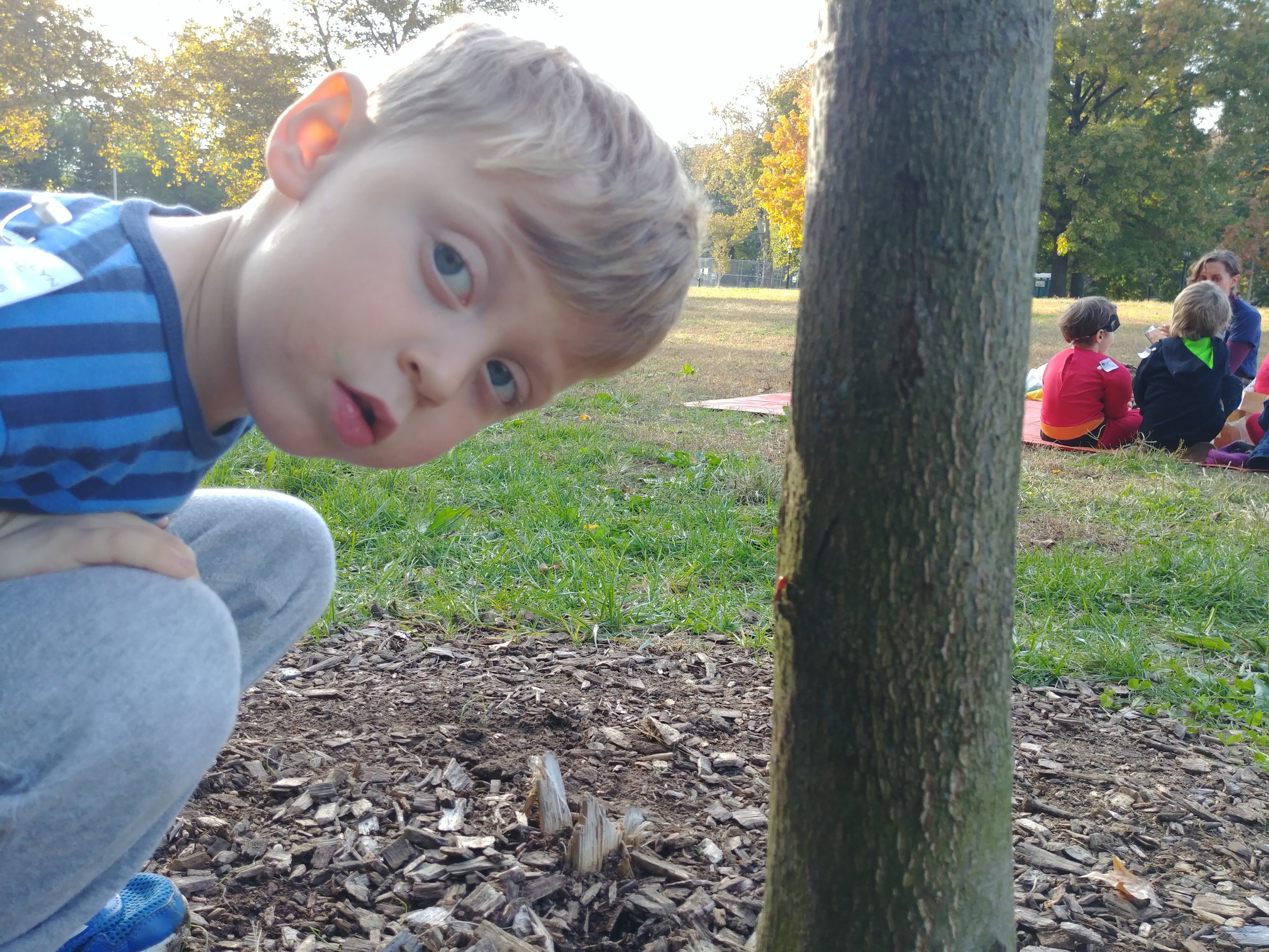 20181031_155813.jpg