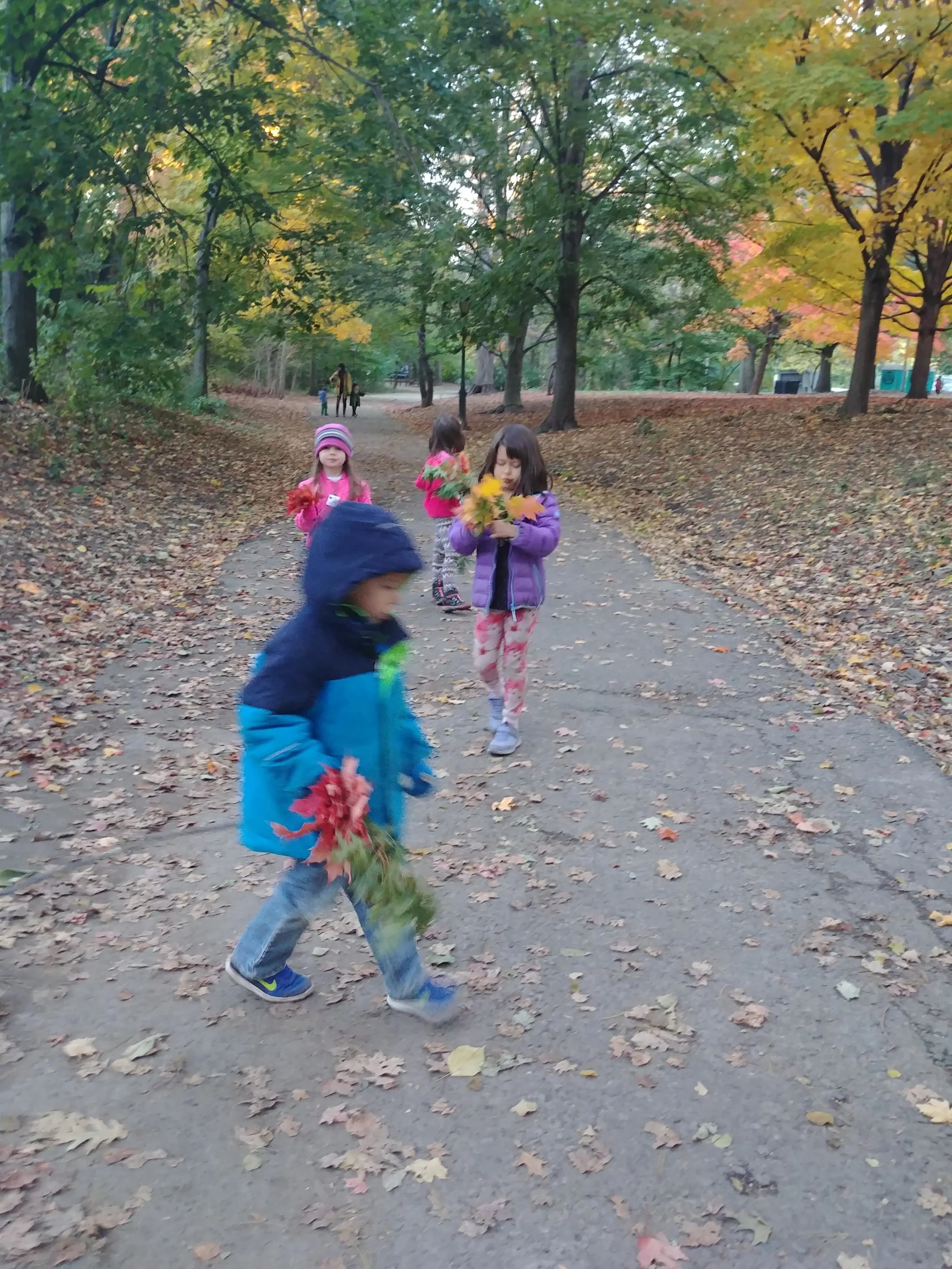 20181030_173711.jpg