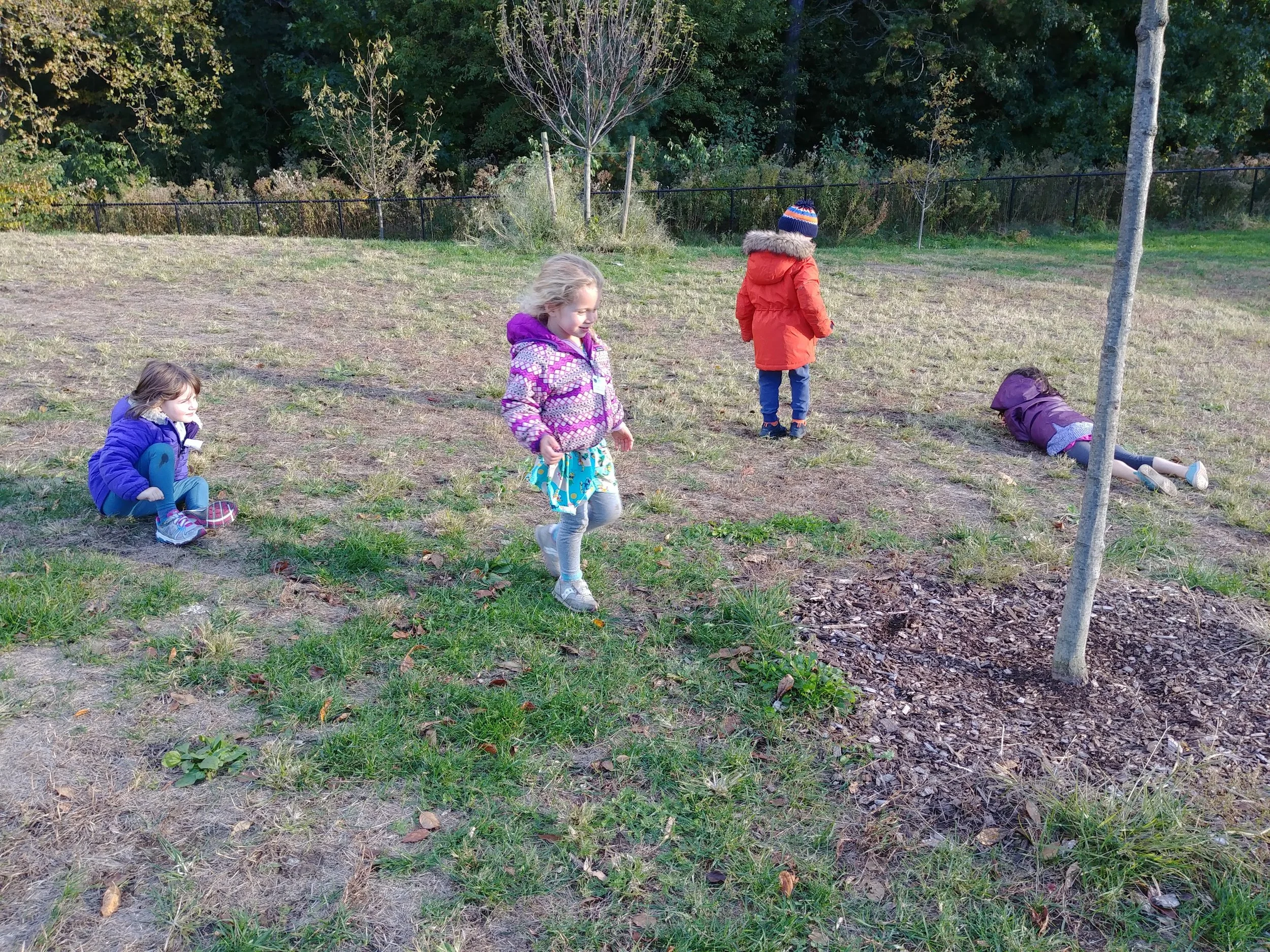20181029_162804.jpg